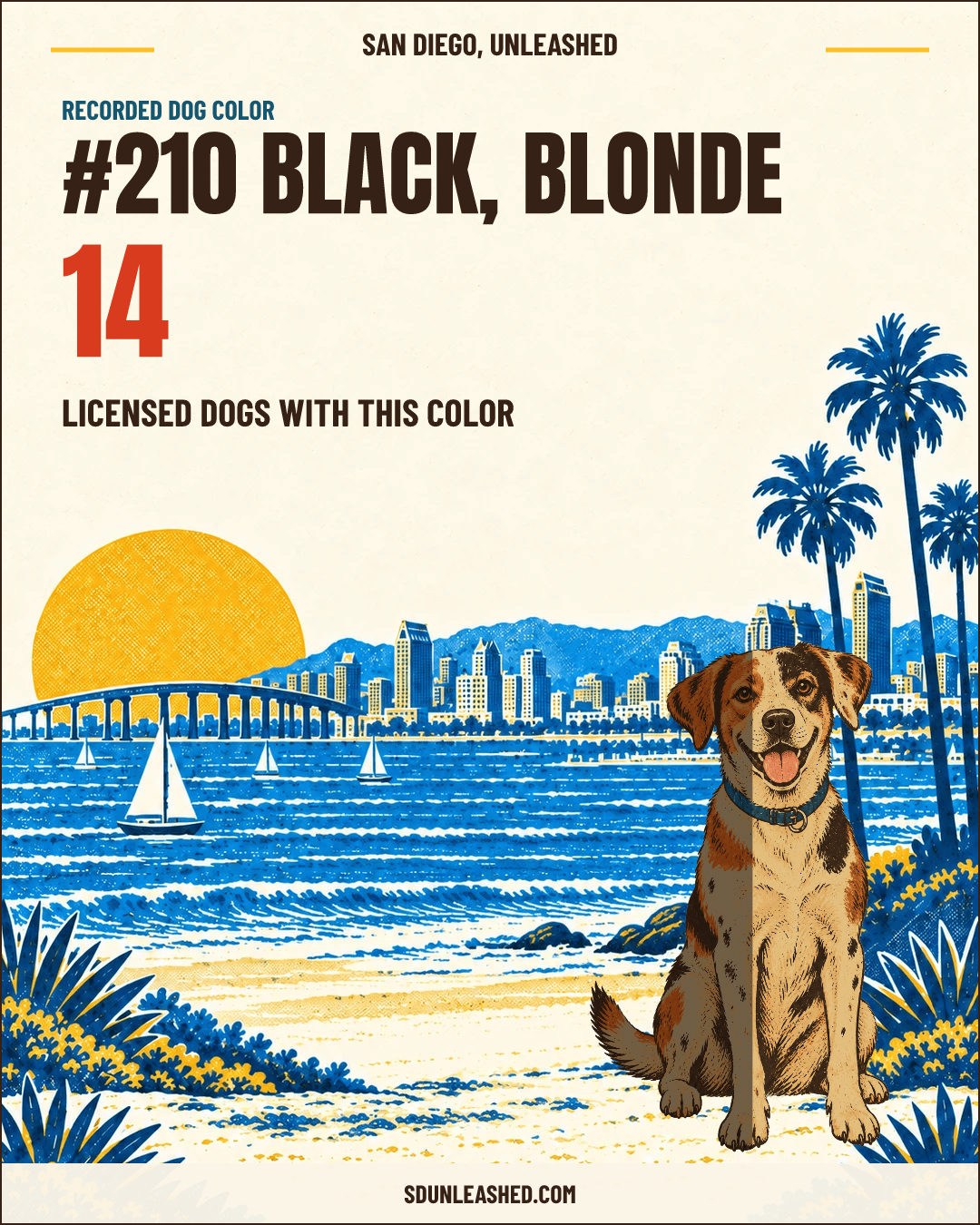Black, Blonde share card