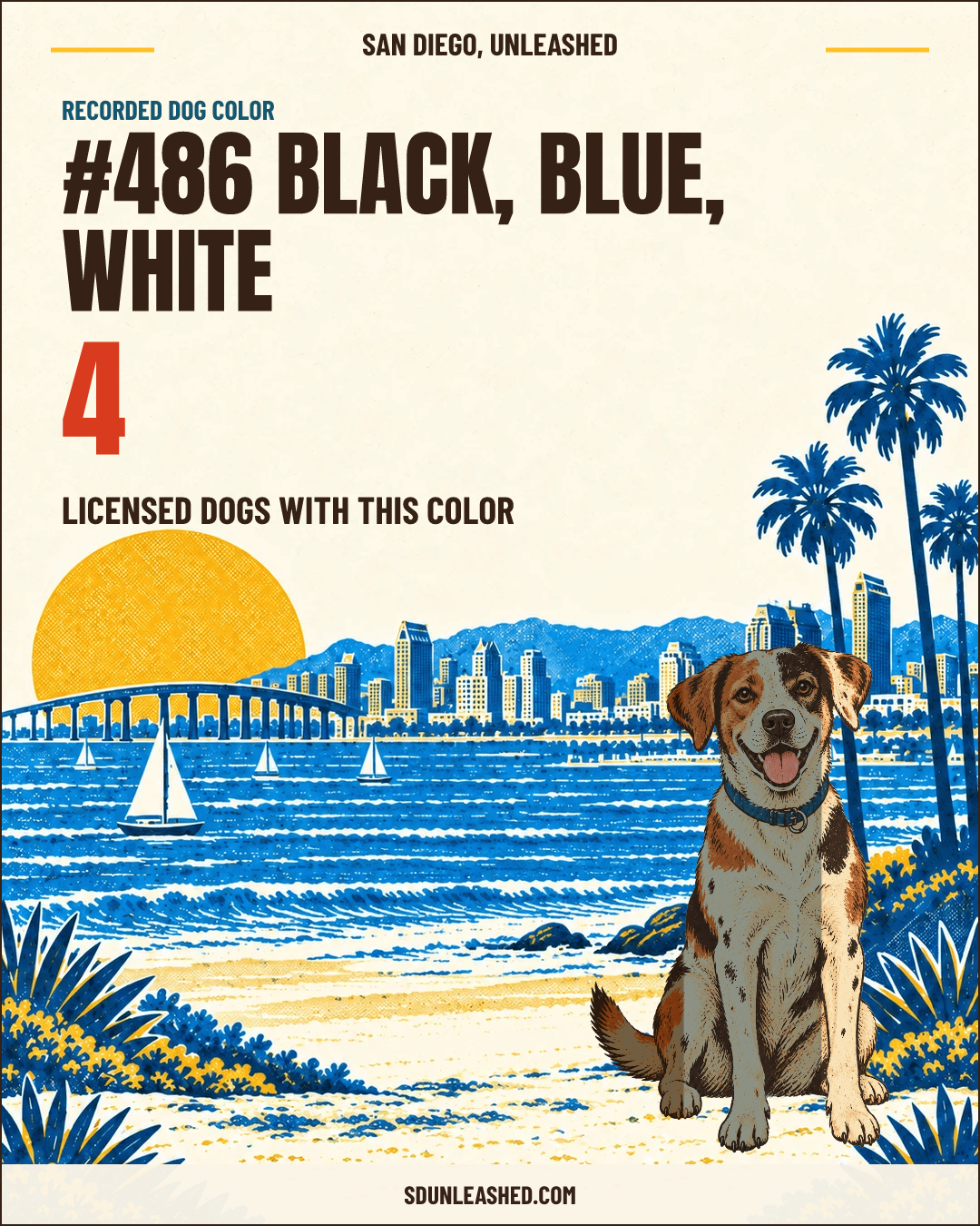 Black, Blue, White share card