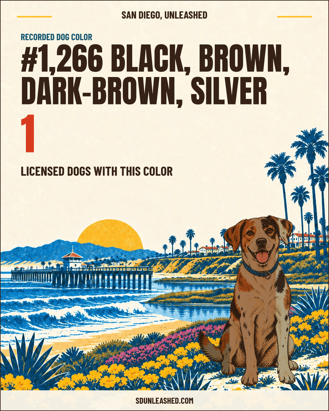 Black, Brown, Dark-brown, Silver share card