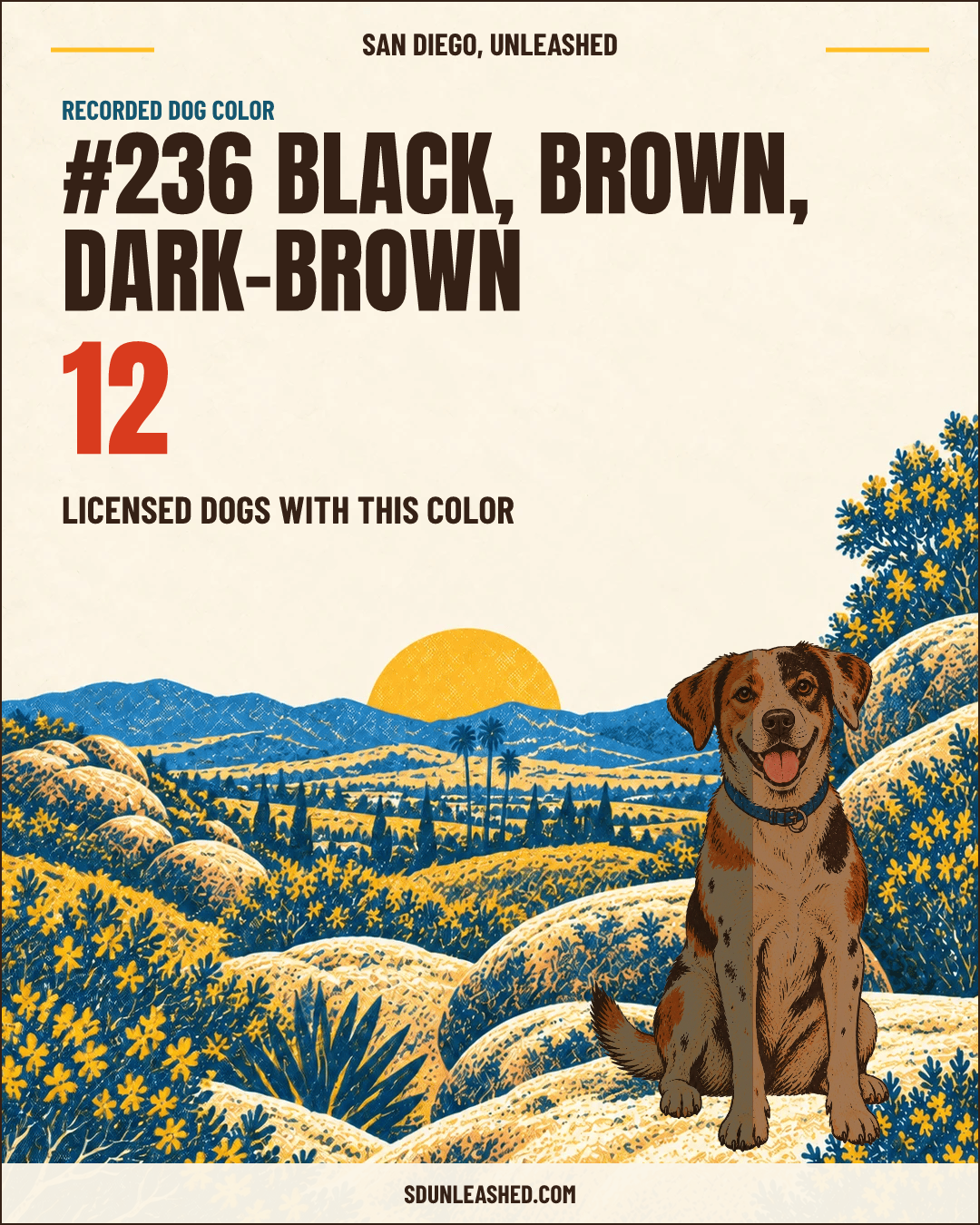 Black, Brown, Dark-brown share card