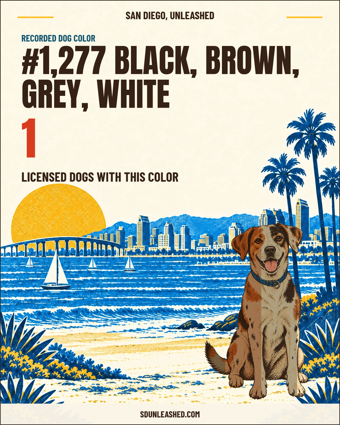 Black, Brown, Grey, White share card