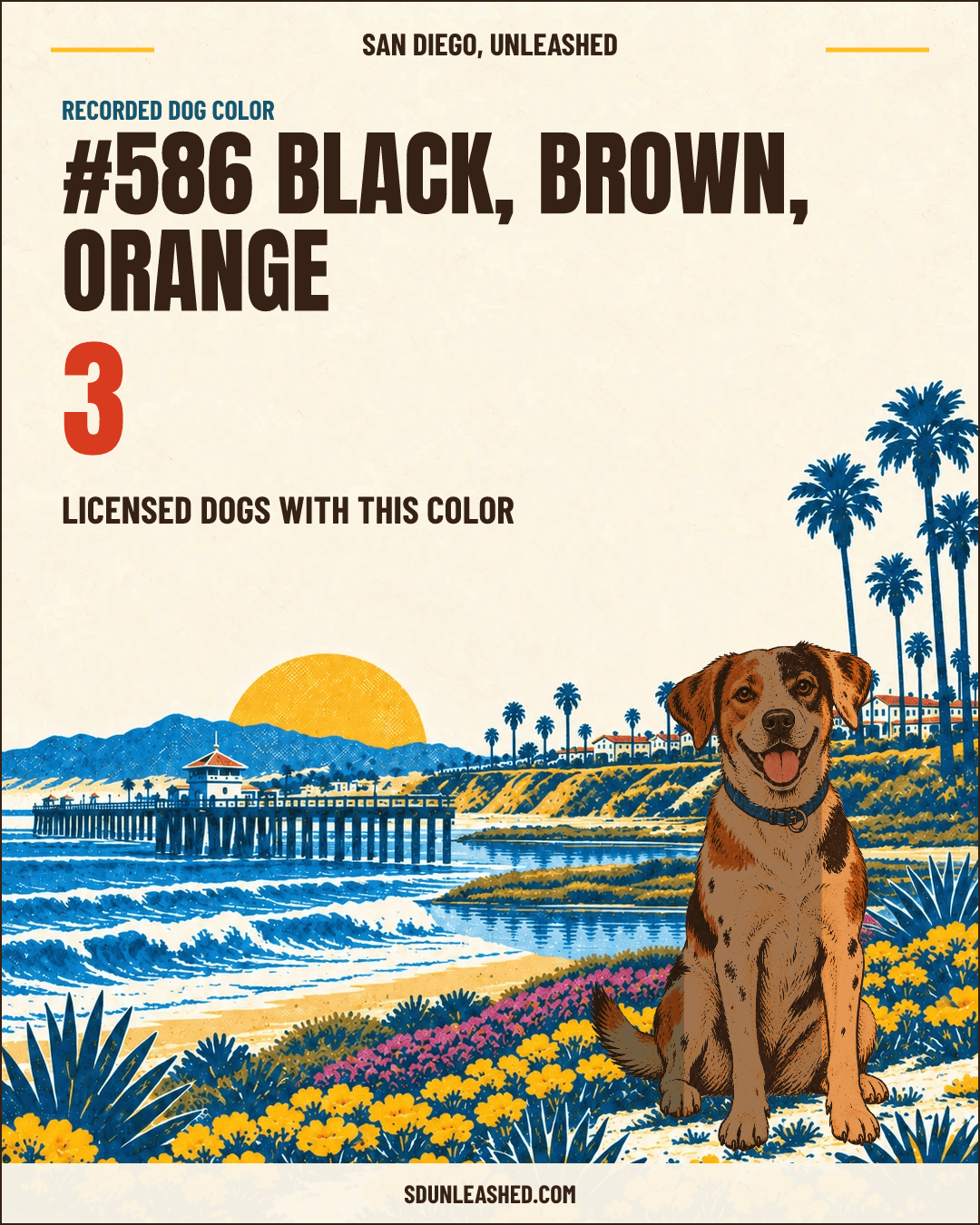 Black, Brown, Orange share card