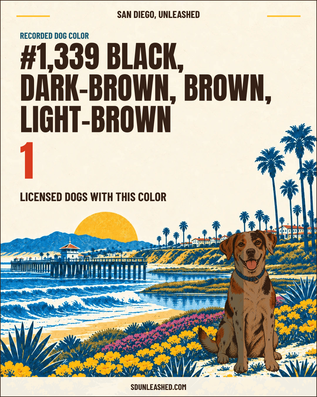 Black, Dark-brown, Brown, Light-brown share card