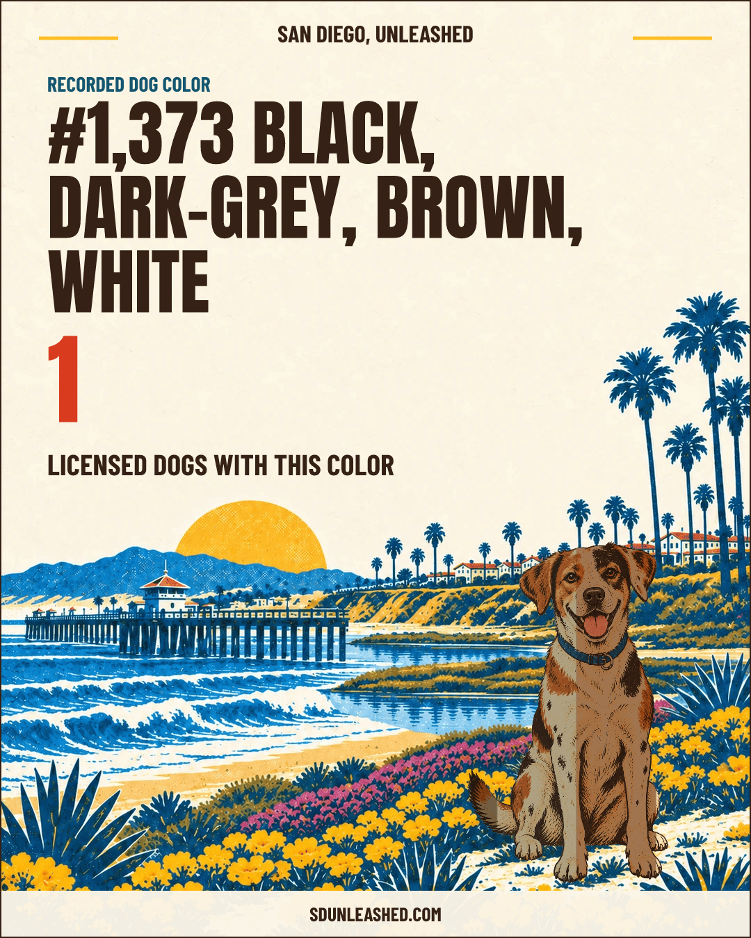 Black, Dark-grey, Brown, White share card