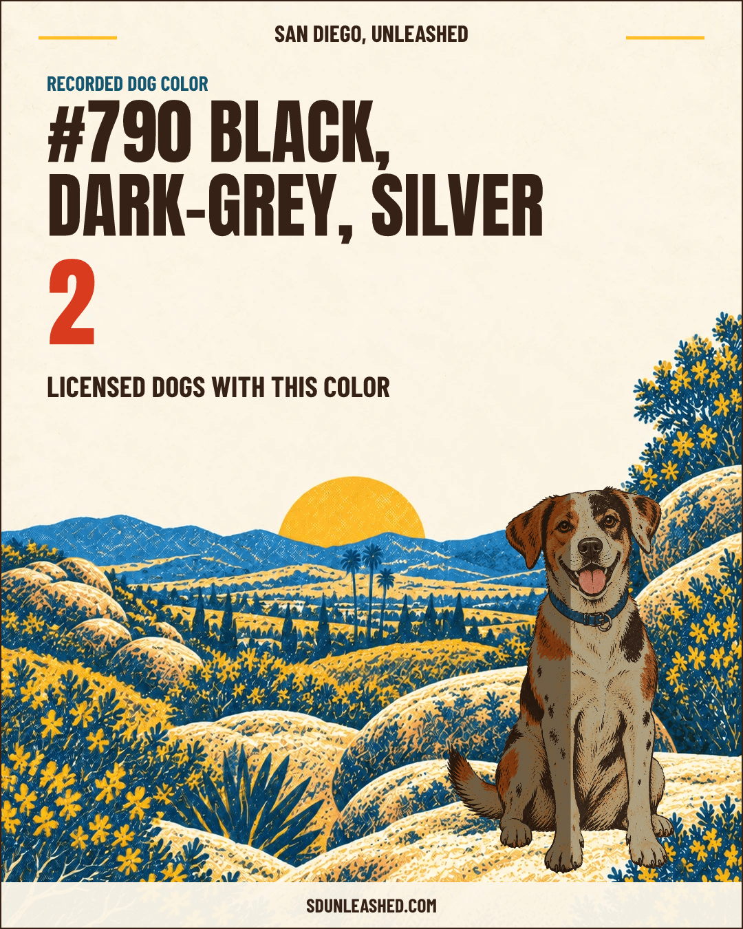 Black, Dark-grey, Silver share card
