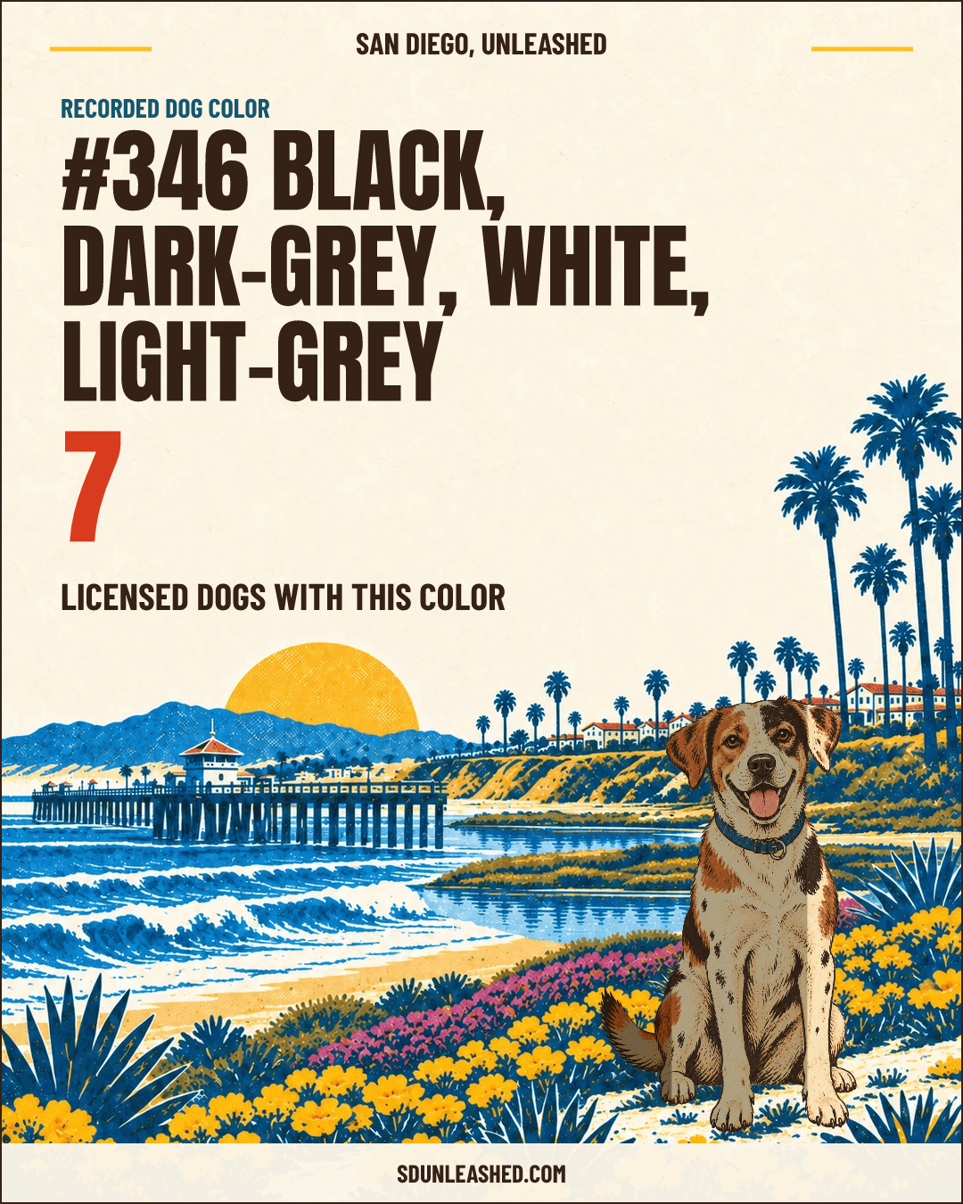 Black, Dark-grey, White, Light-grey share card