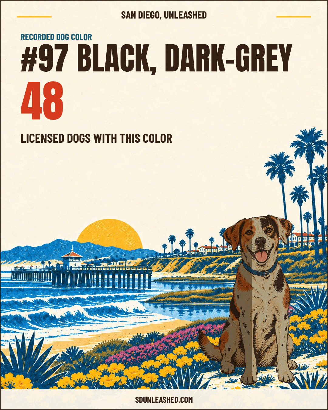 Black, Dark-grey share card
