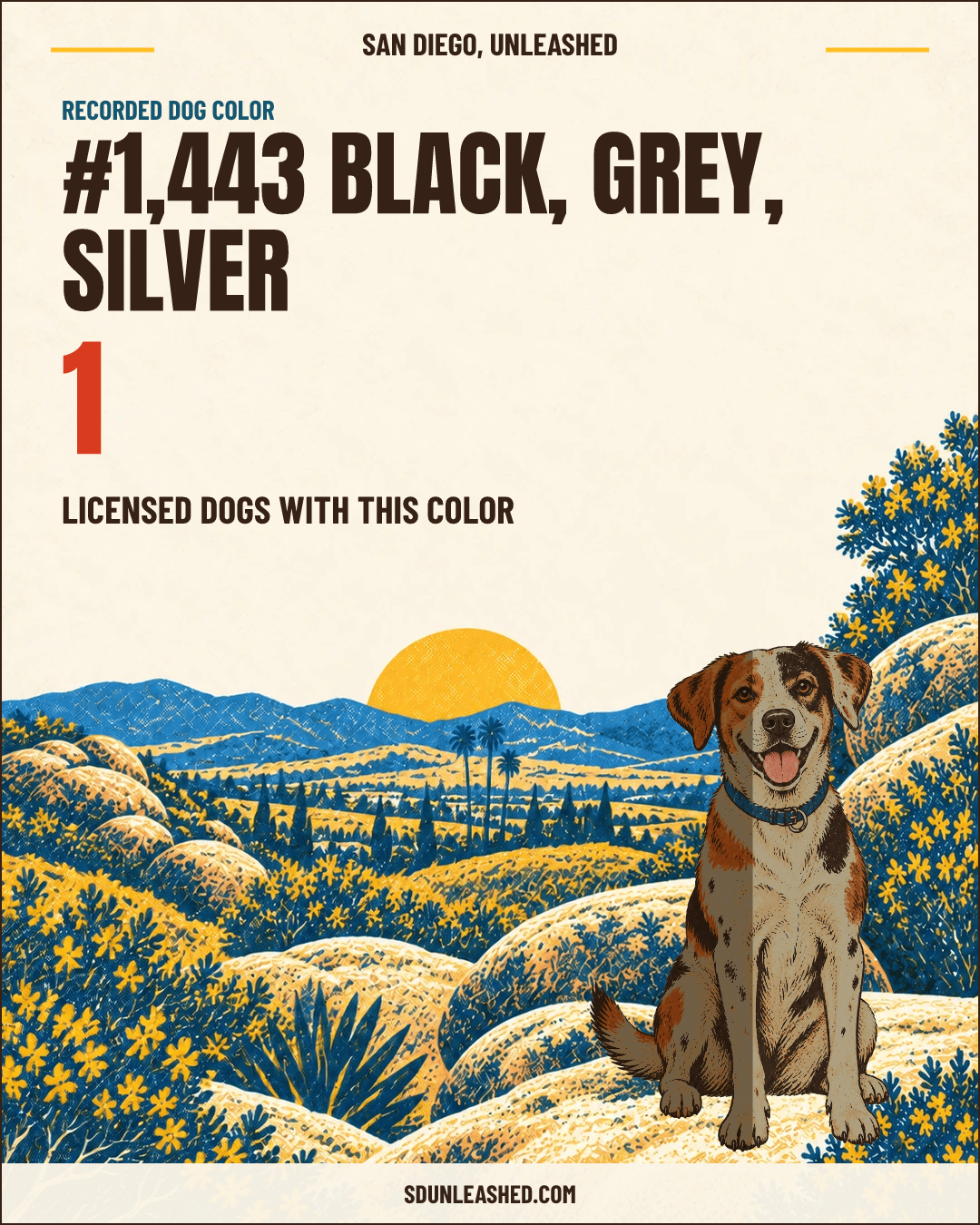 Black, Grey, Silver share card