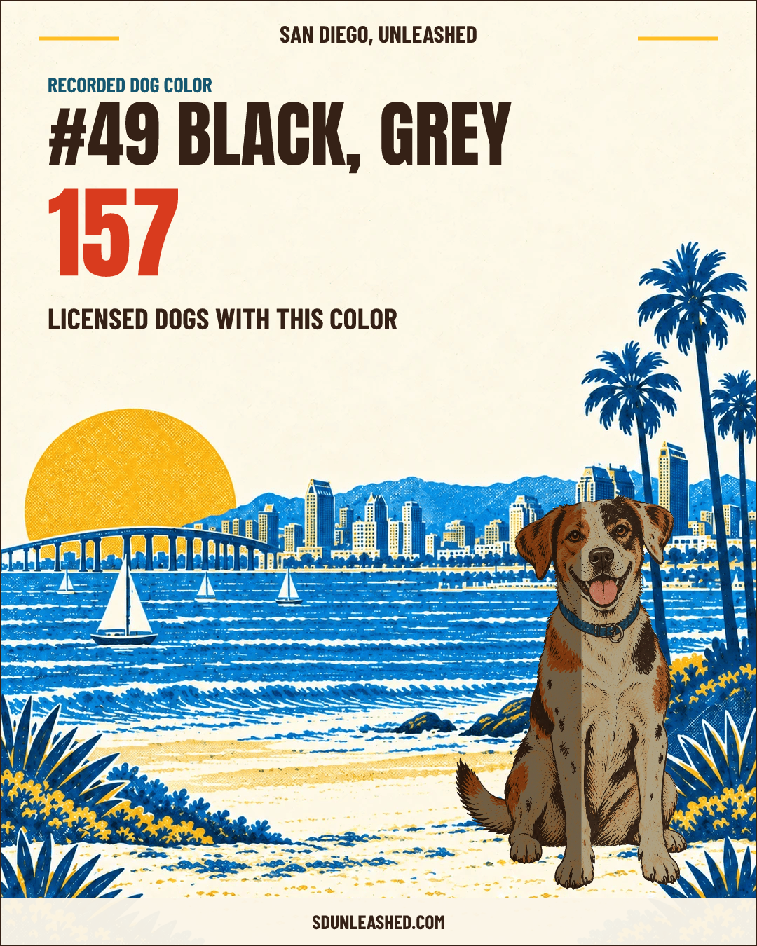 Black, Grey share card