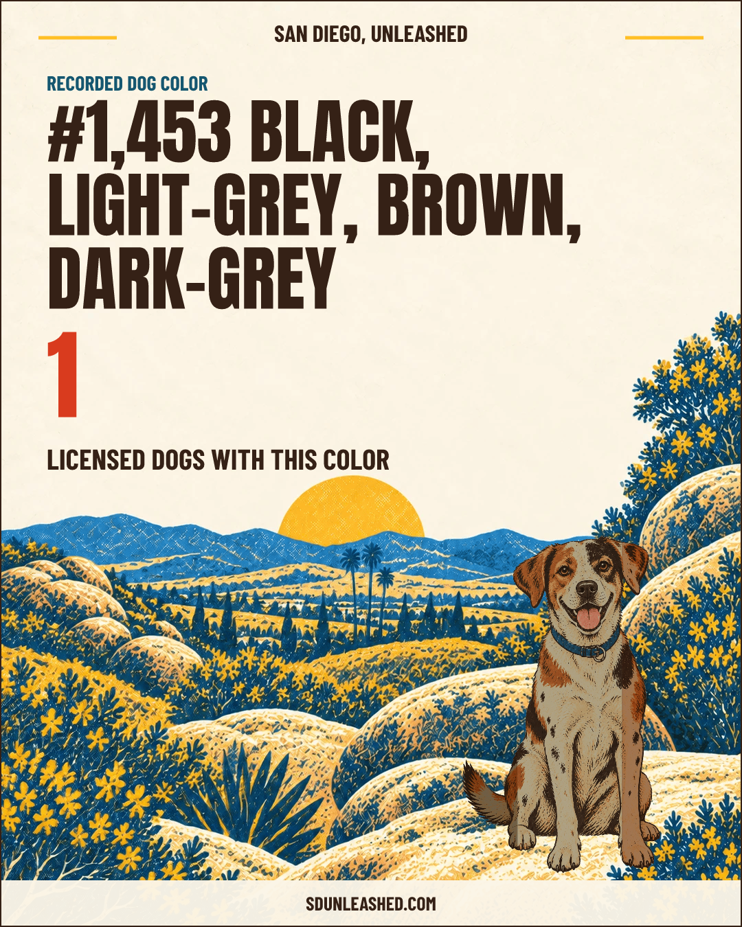 Black, Light-grey, Brown, Dark-grey share card