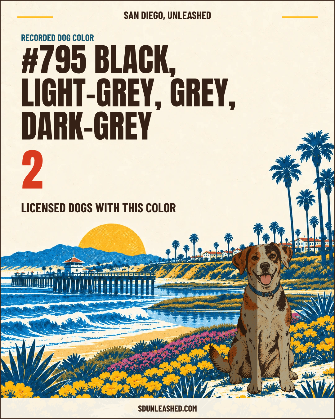 Black, Light-grey, Grey, Dark-grey share card