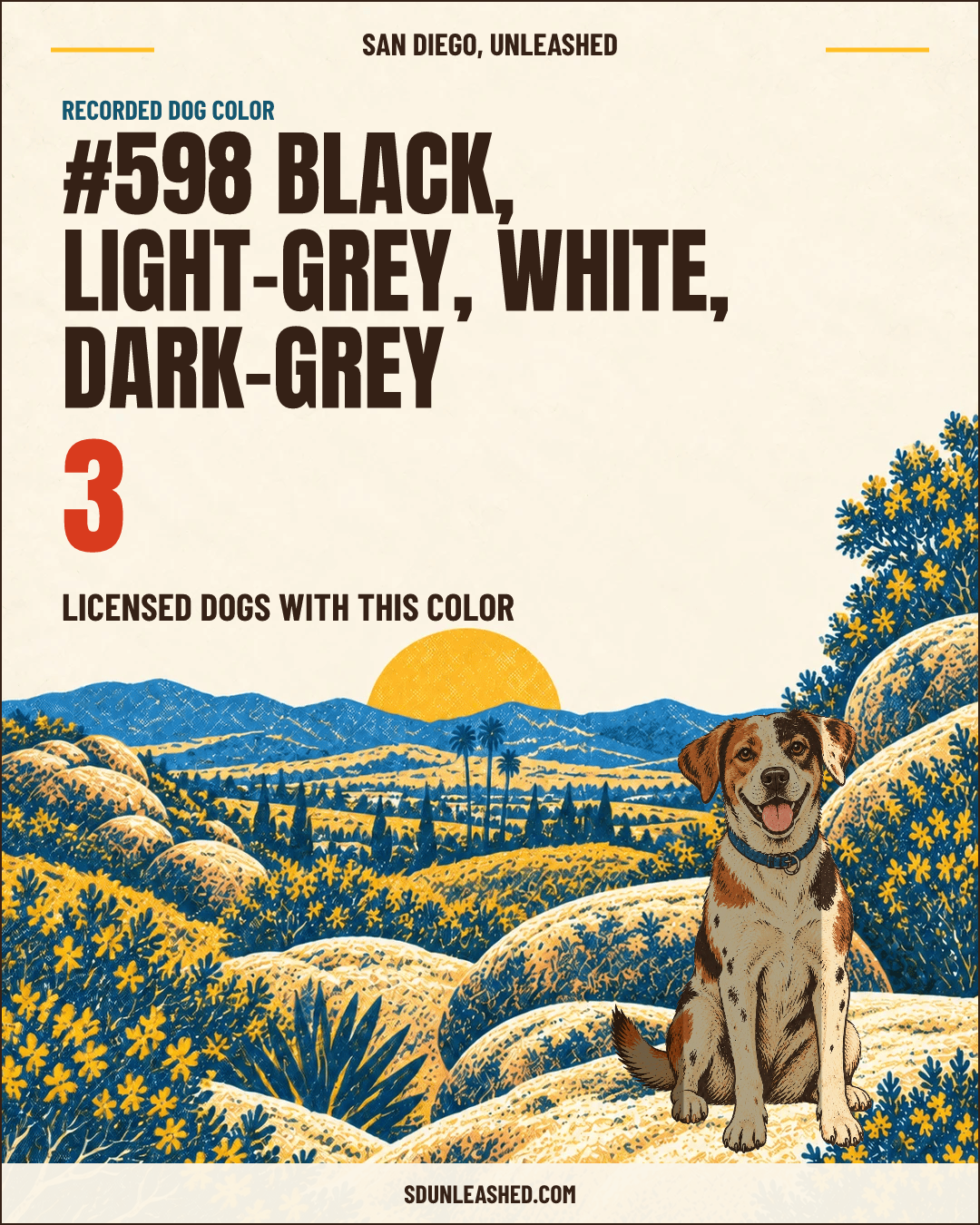 Black, Light-grey, White, Dark-grey share card