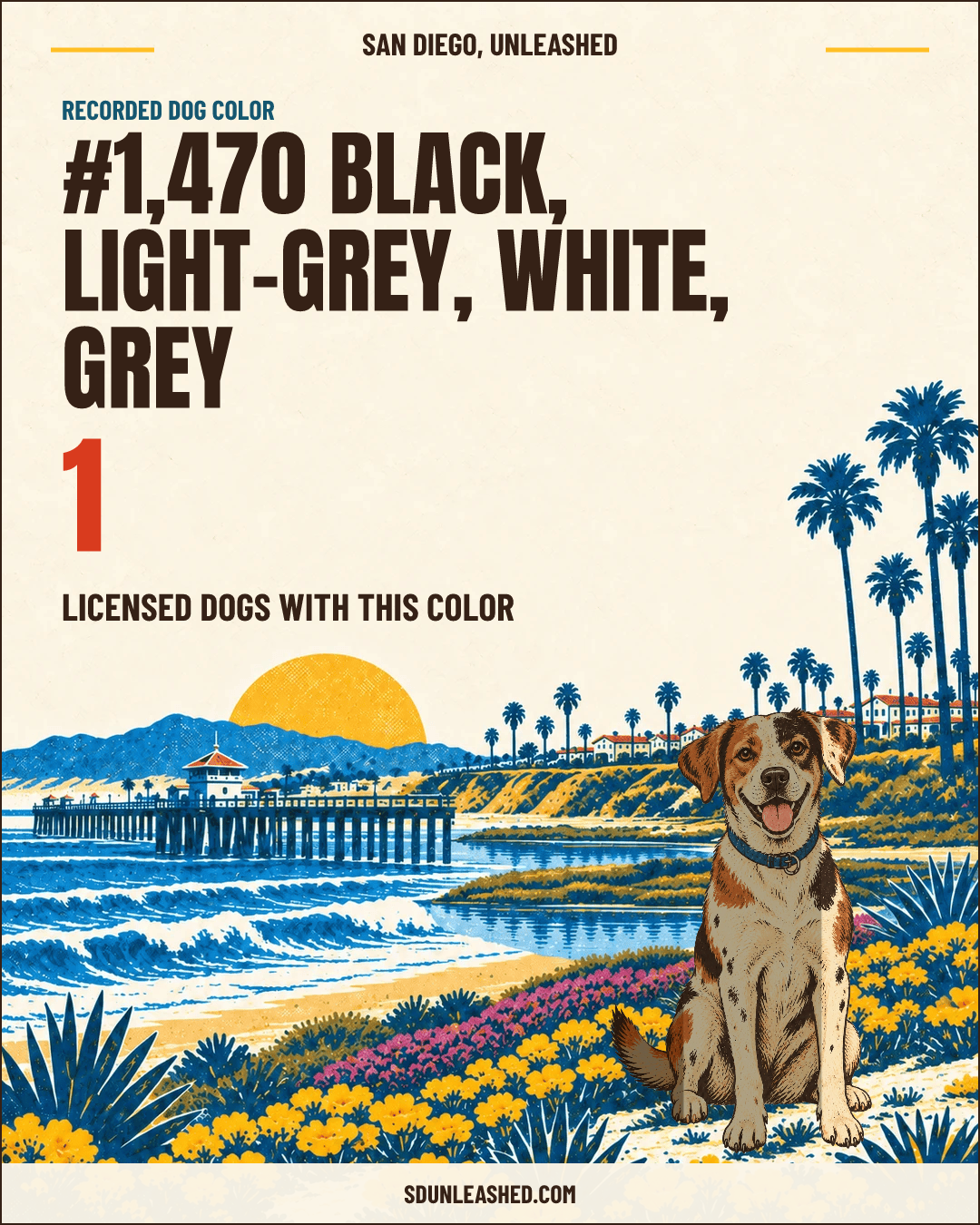 Black, Light-grey, White, Grey share card