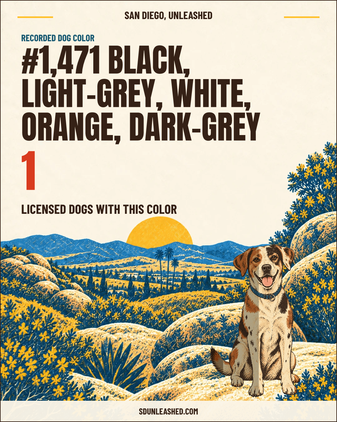 Black, Light-grey, White, Orange, Dark-grey share card