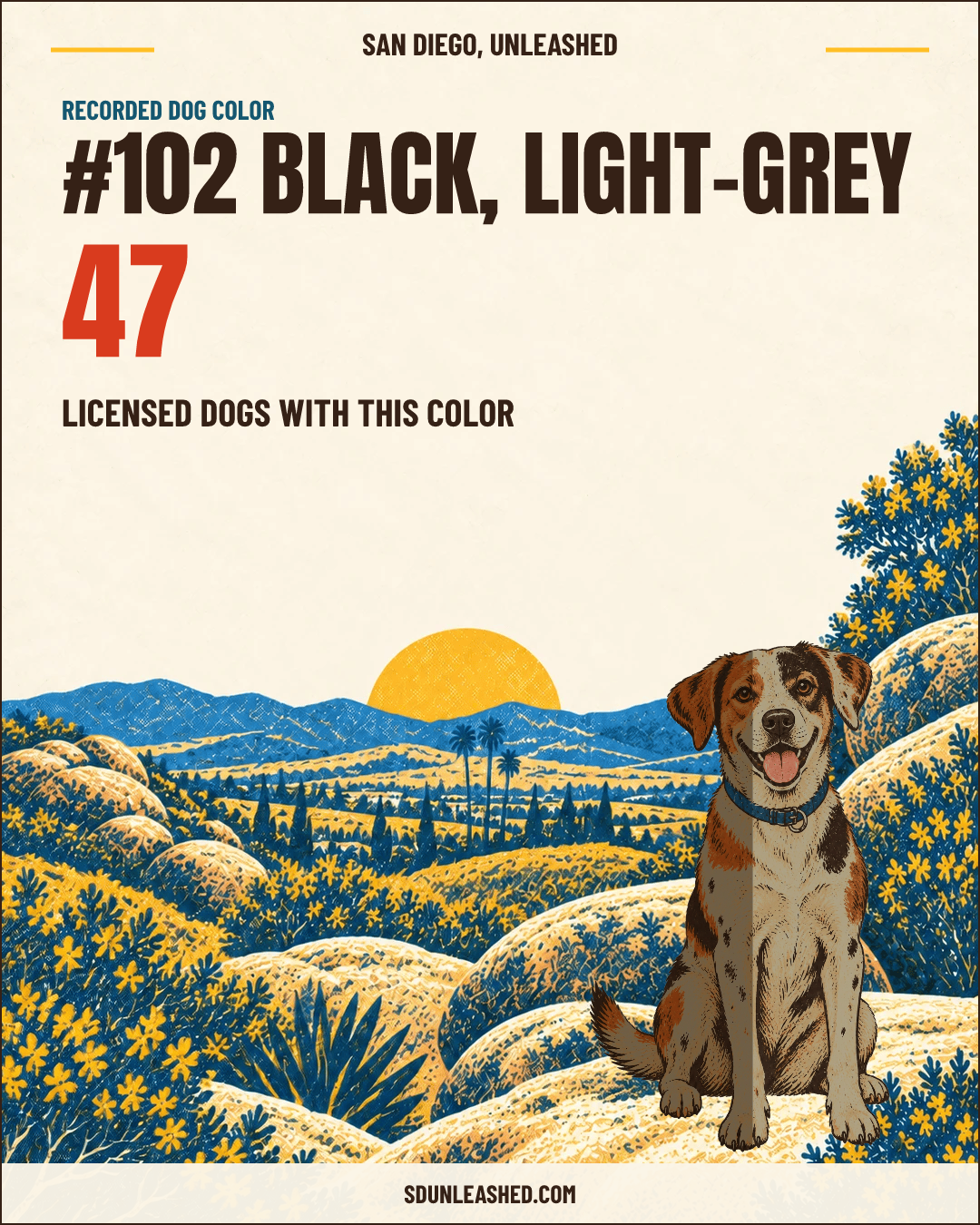 Black, Light-grey share card