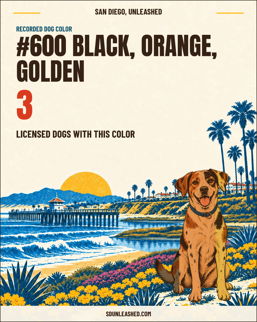Black, Orange, Golden share card