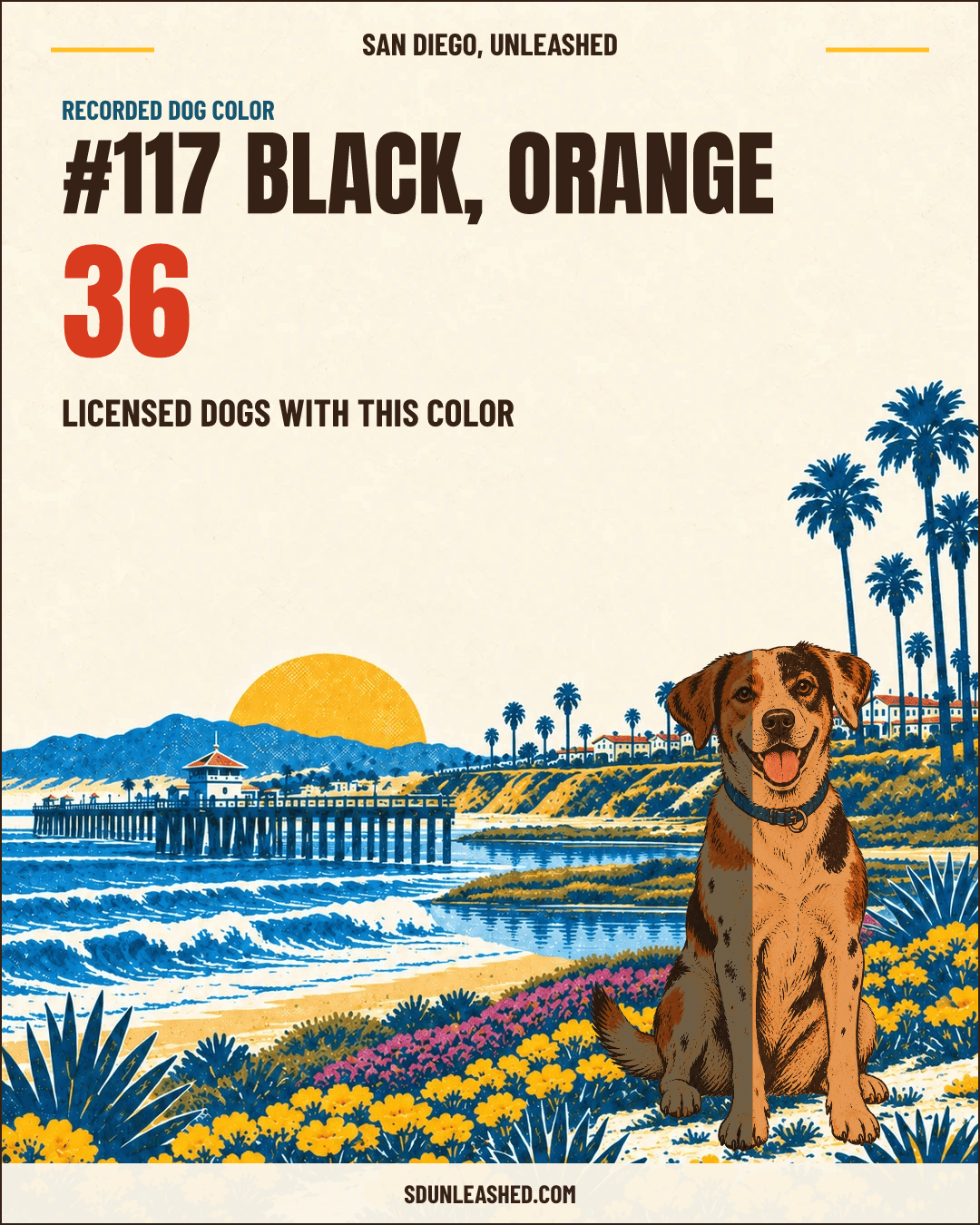 Black, Orange share card