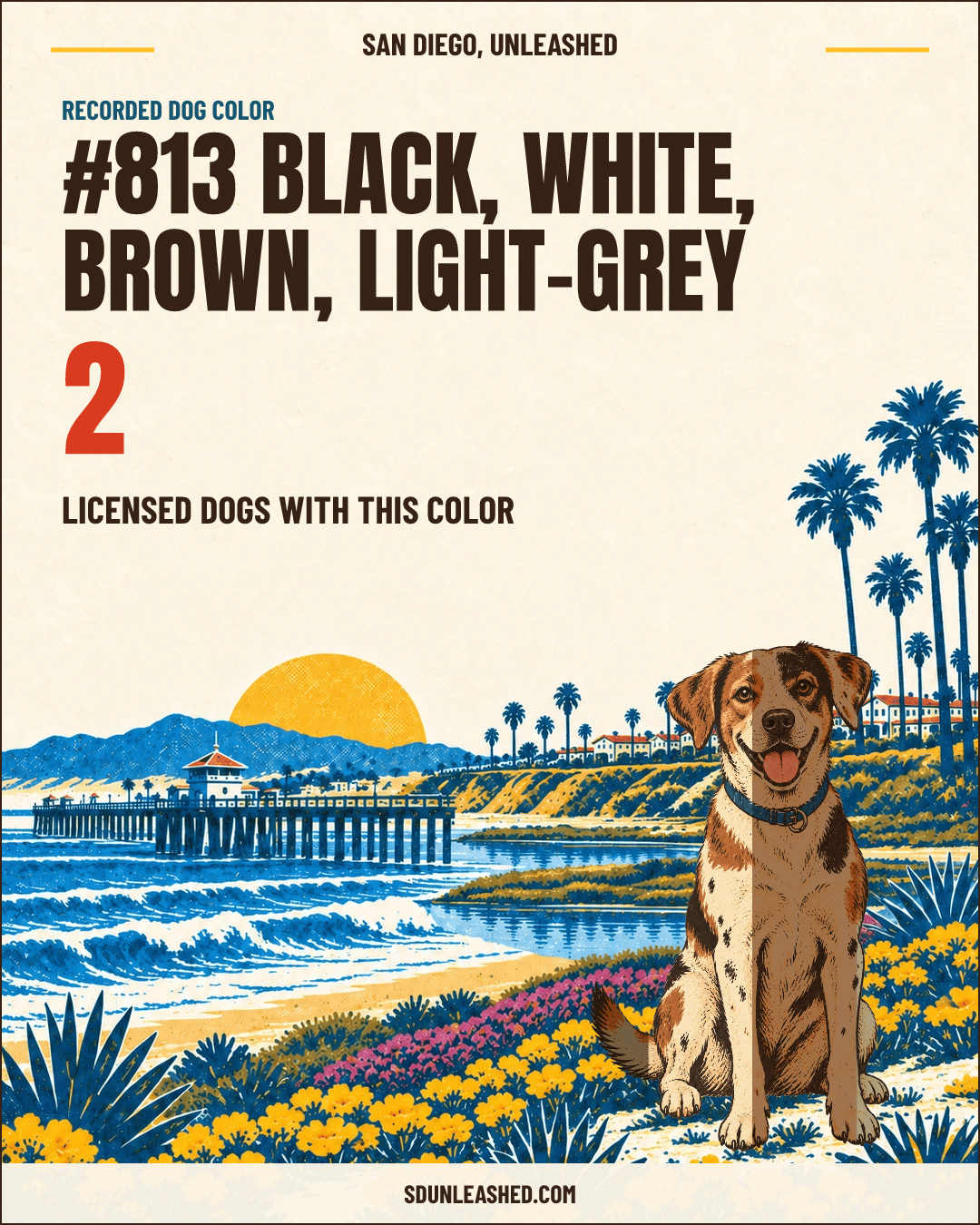 Black, White, Brown, Light-grey share card