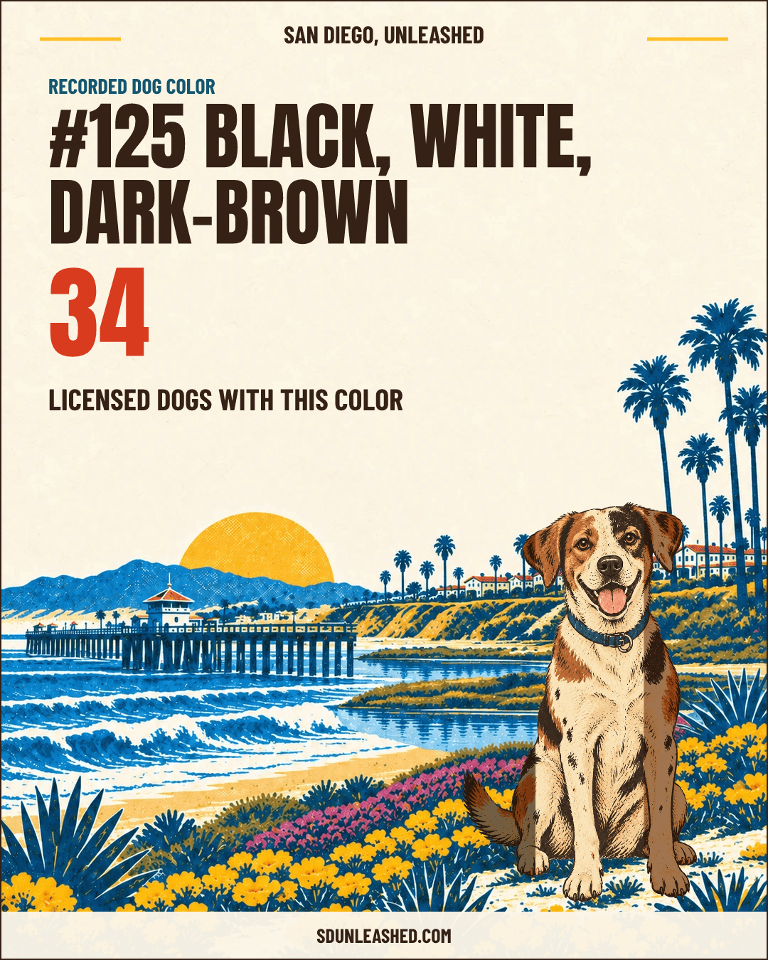 Black, White, Dark-brown share card