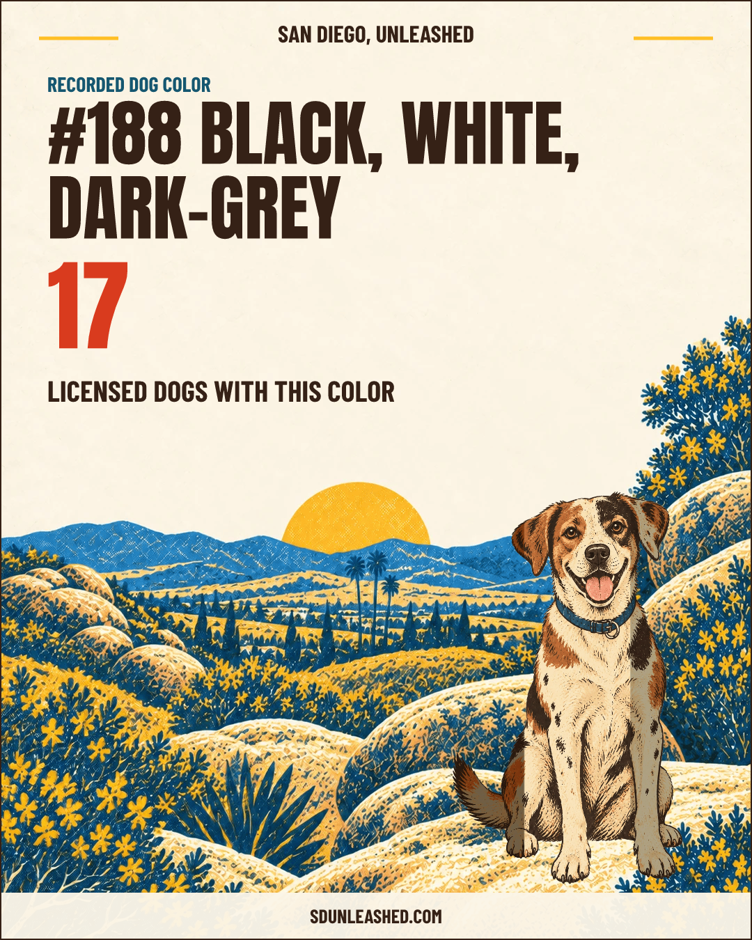 Black, White, Dark-grey share card