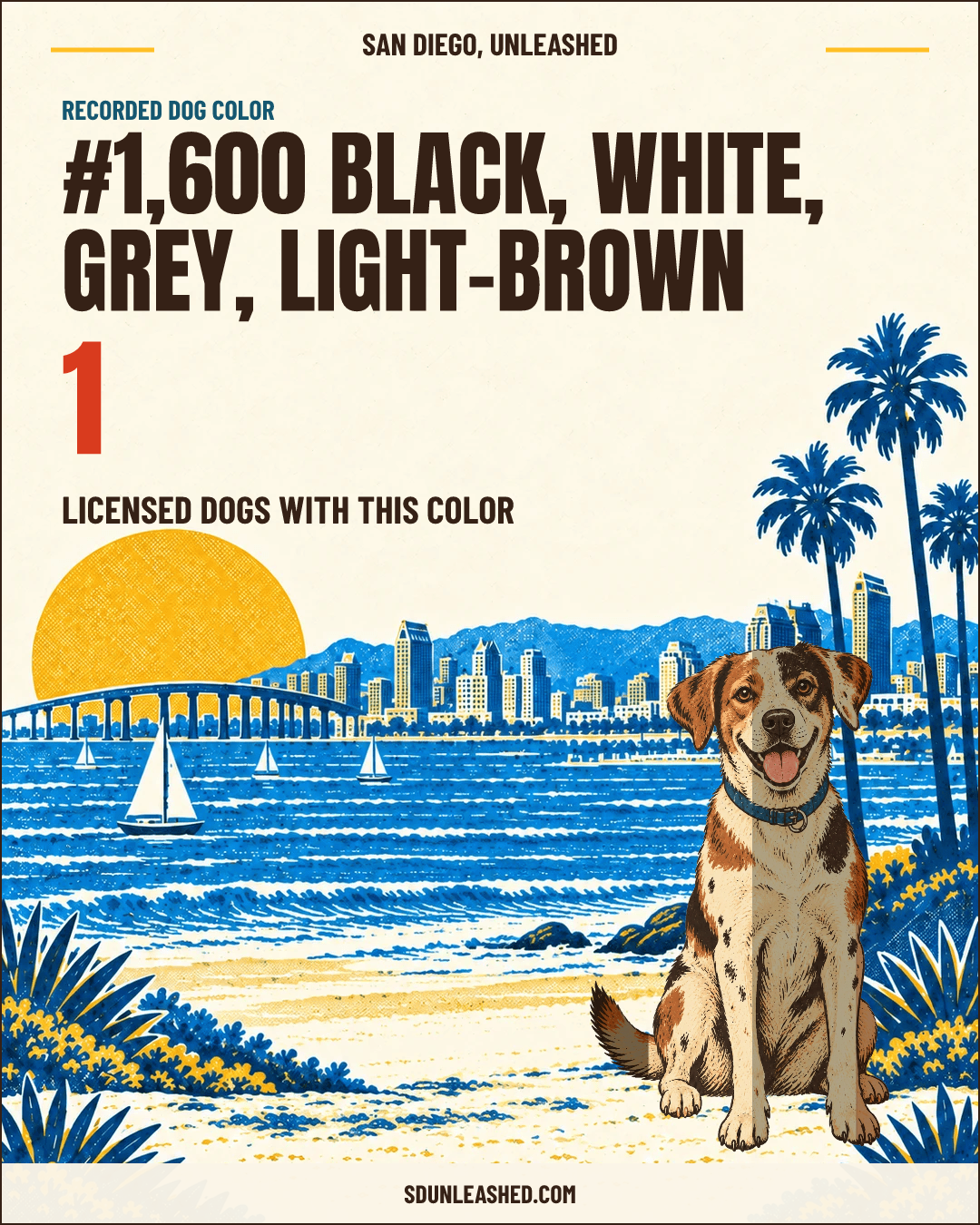 Black, White, Grey, Light-brown share card