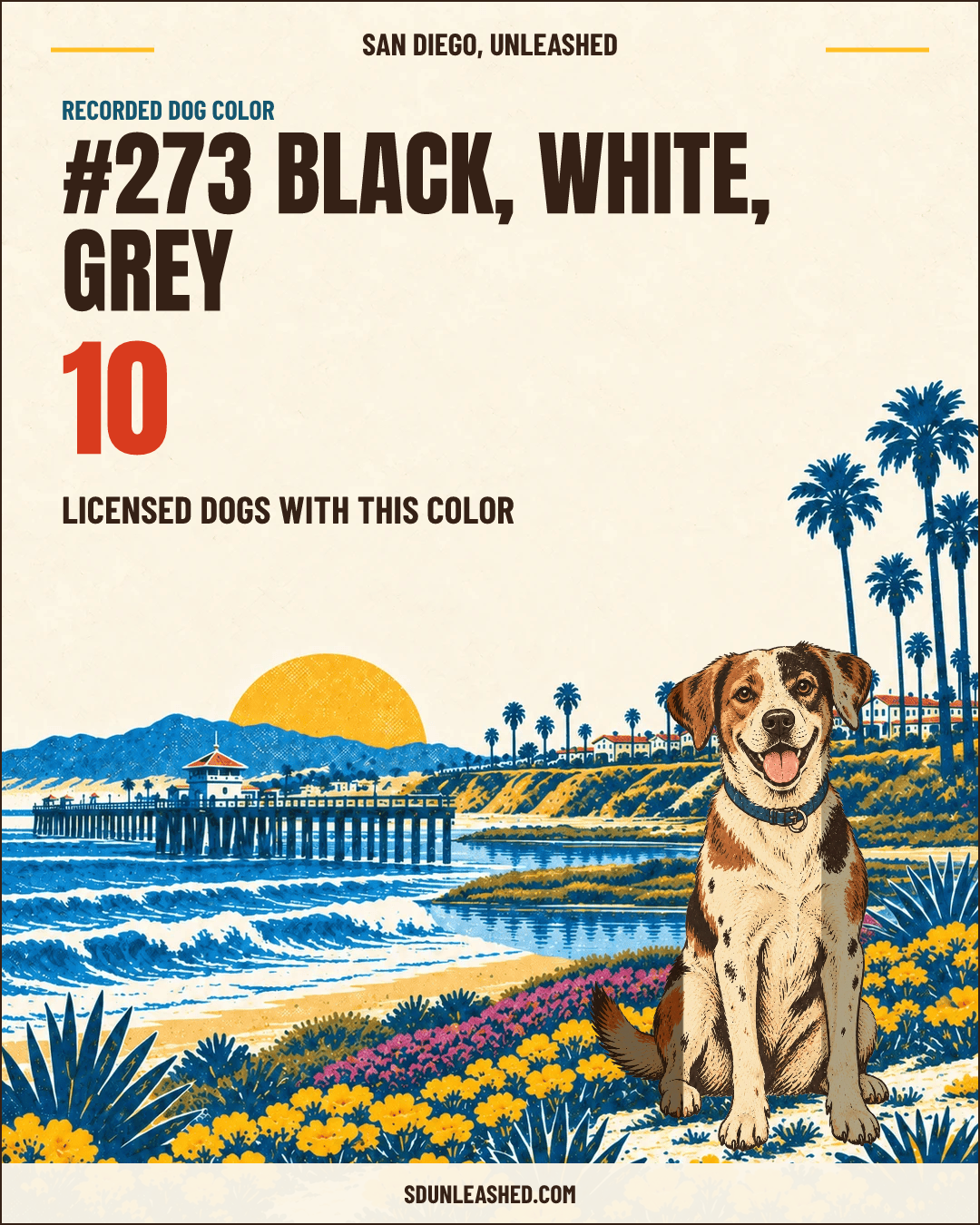 Black, White, Grey share card