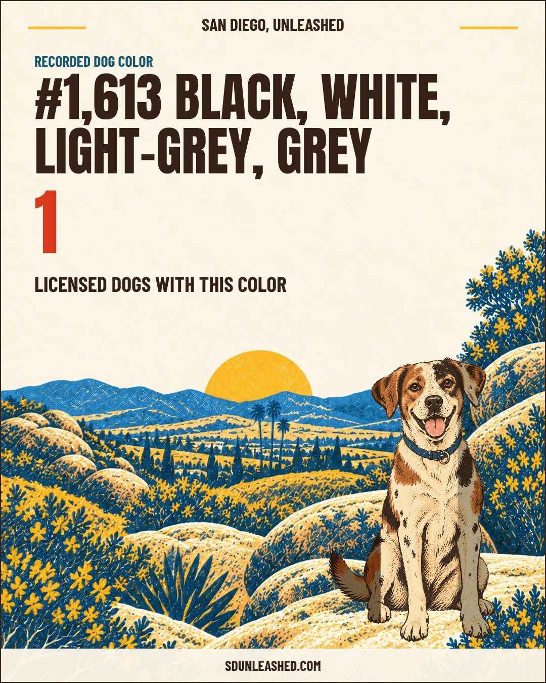 Black, White, Light-grey, Grey share card