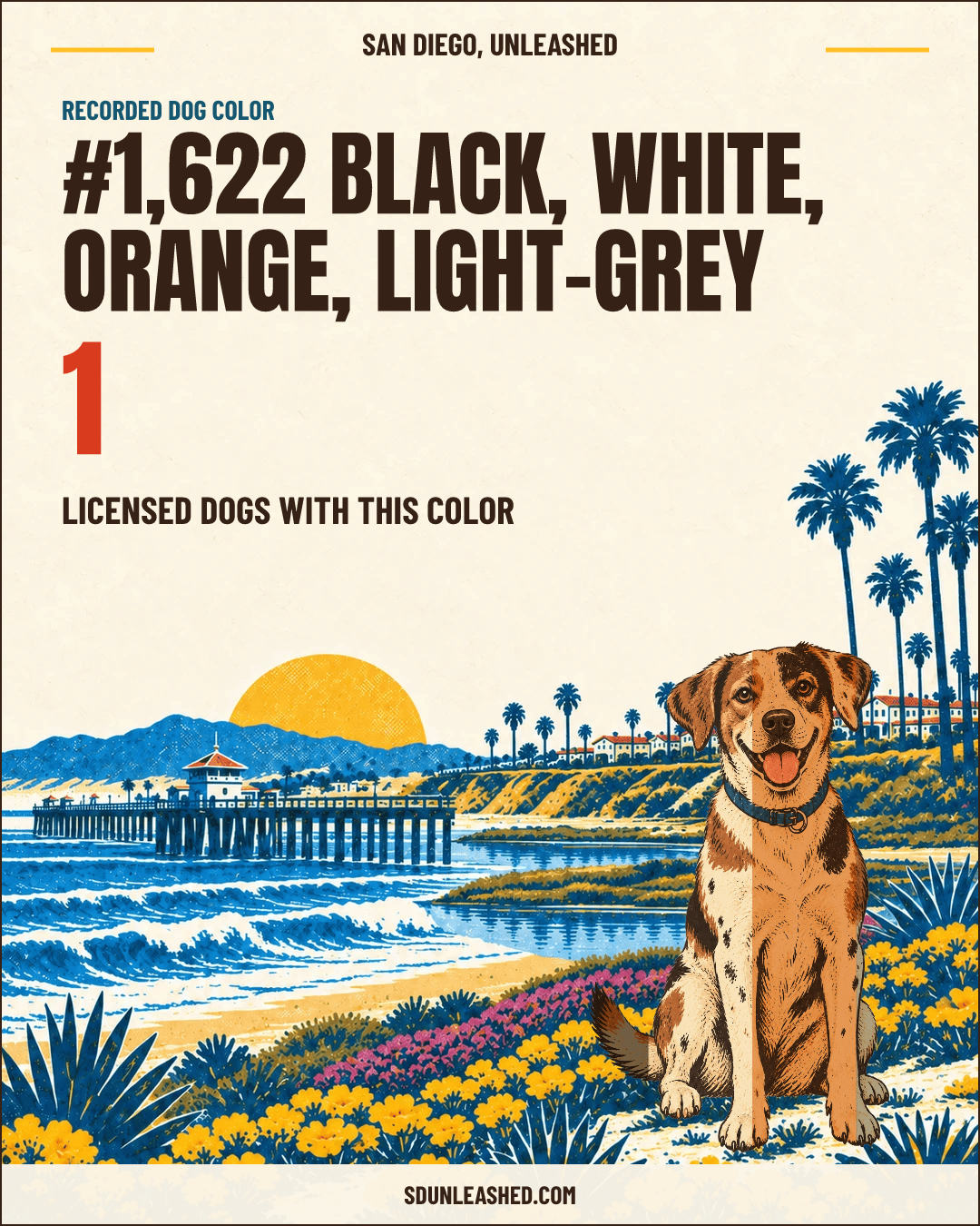 Black, White, Orange, Light-grey share card