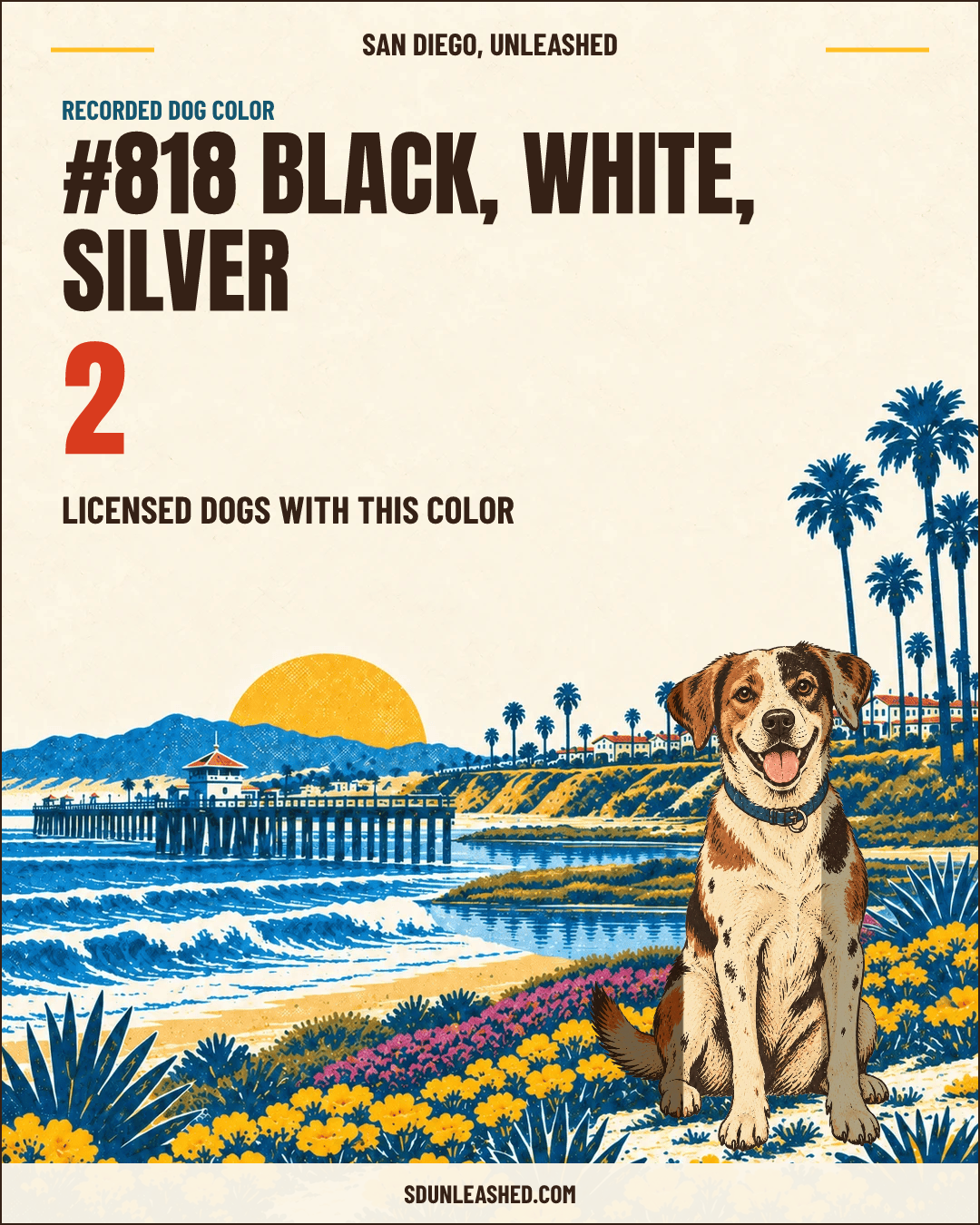 Black, White, Silver share card