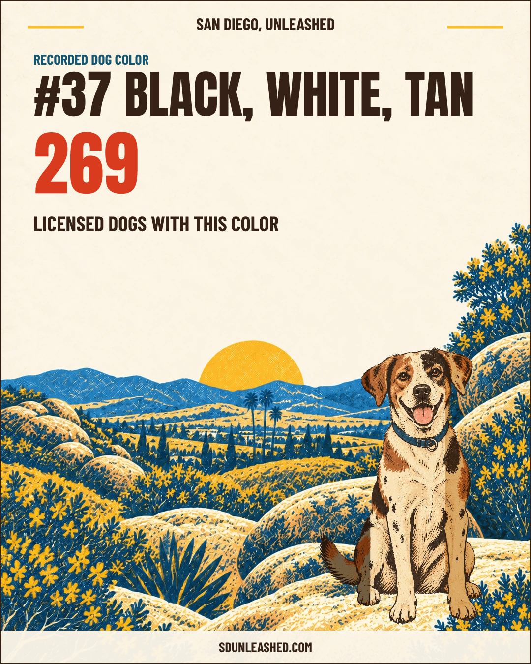Black, White, Tan share card