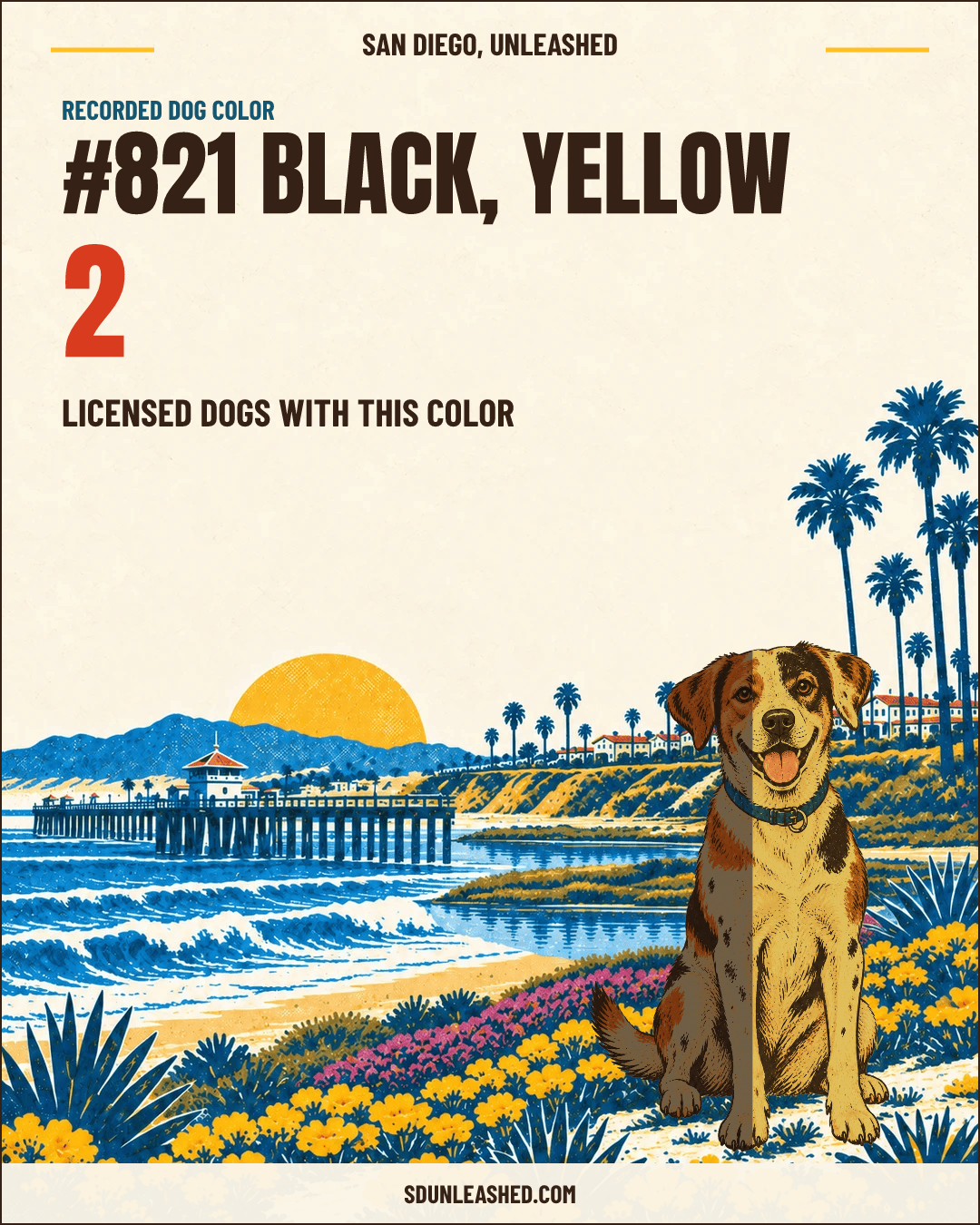 Black, Yellow share card