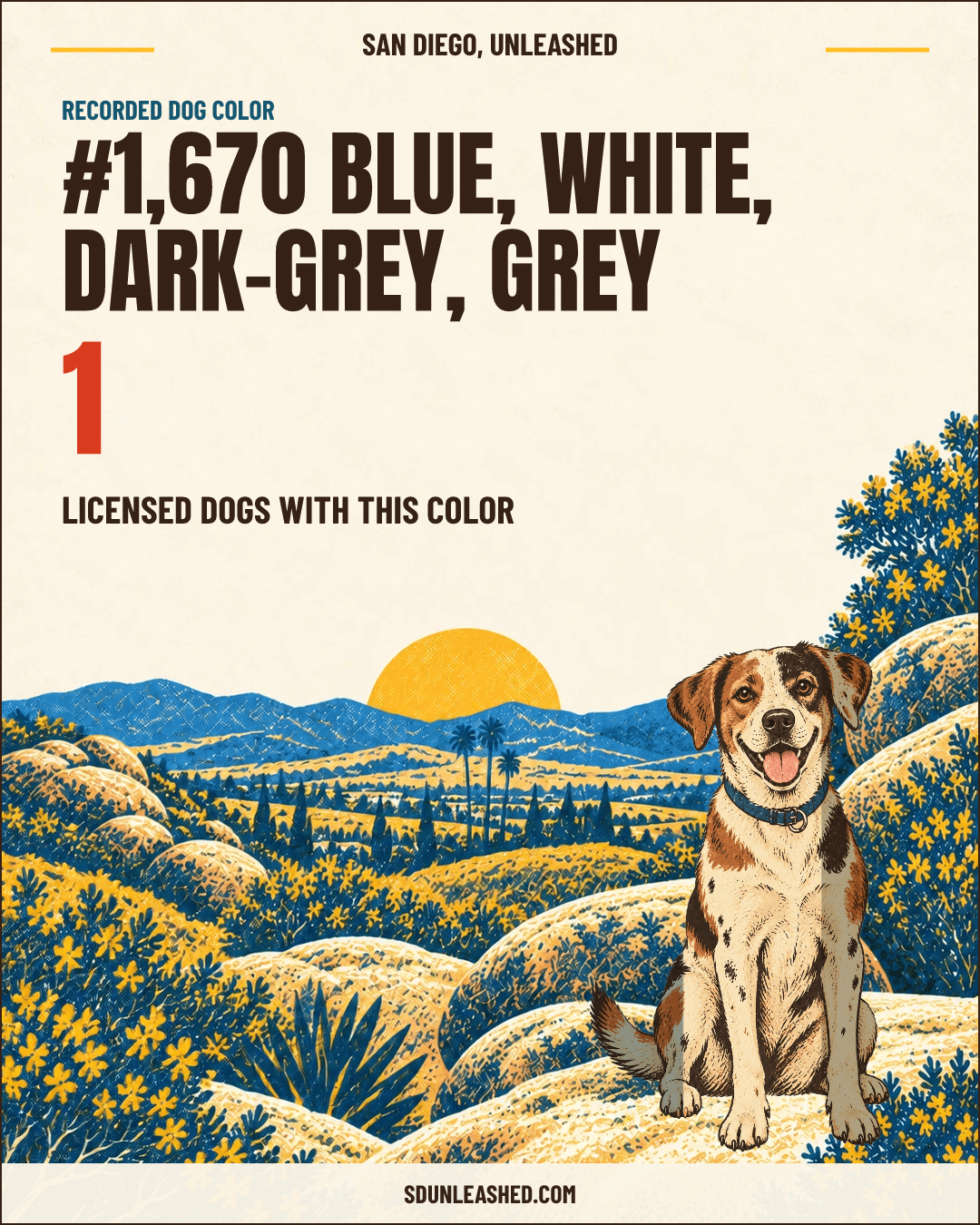 Blue, White, Dark-grey, Grey share card