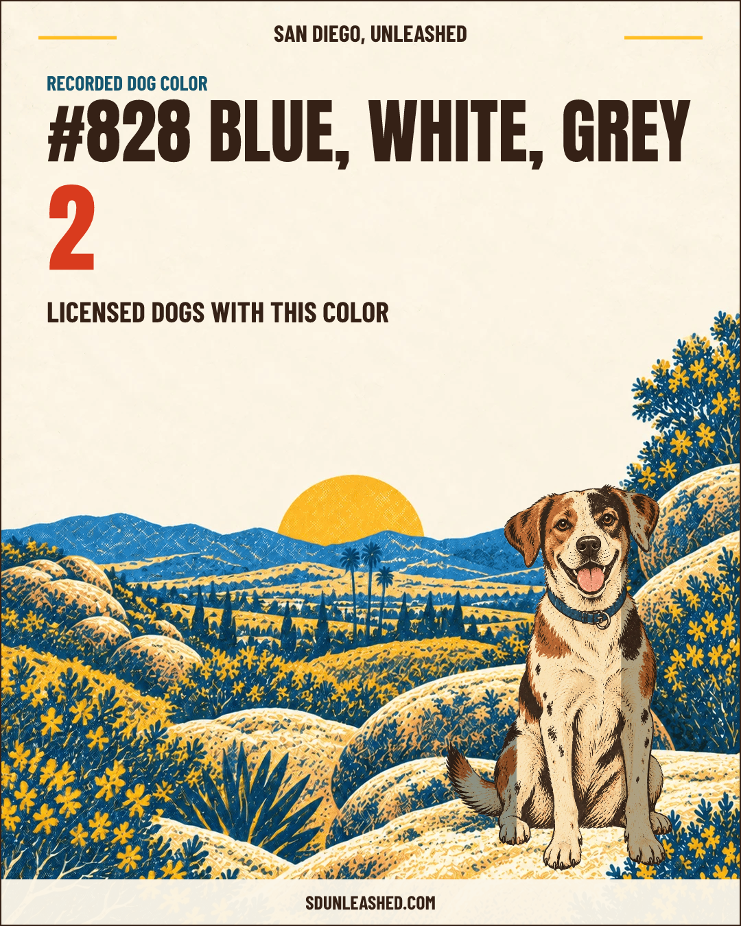 Blue, White, Grey share card