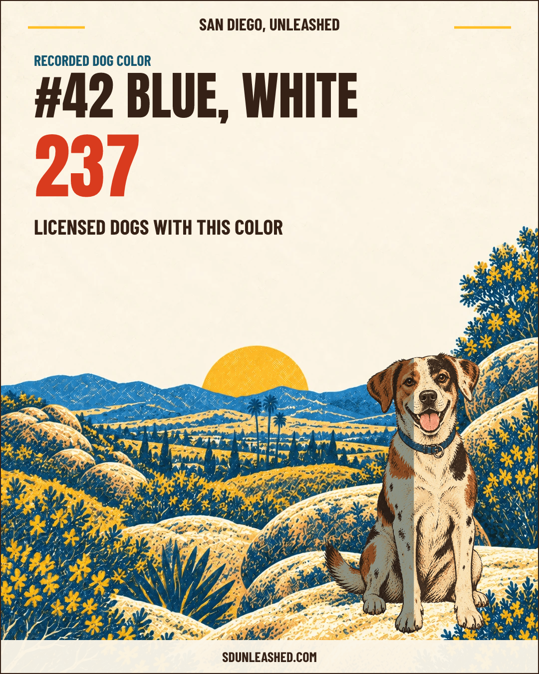 Blue, White share card