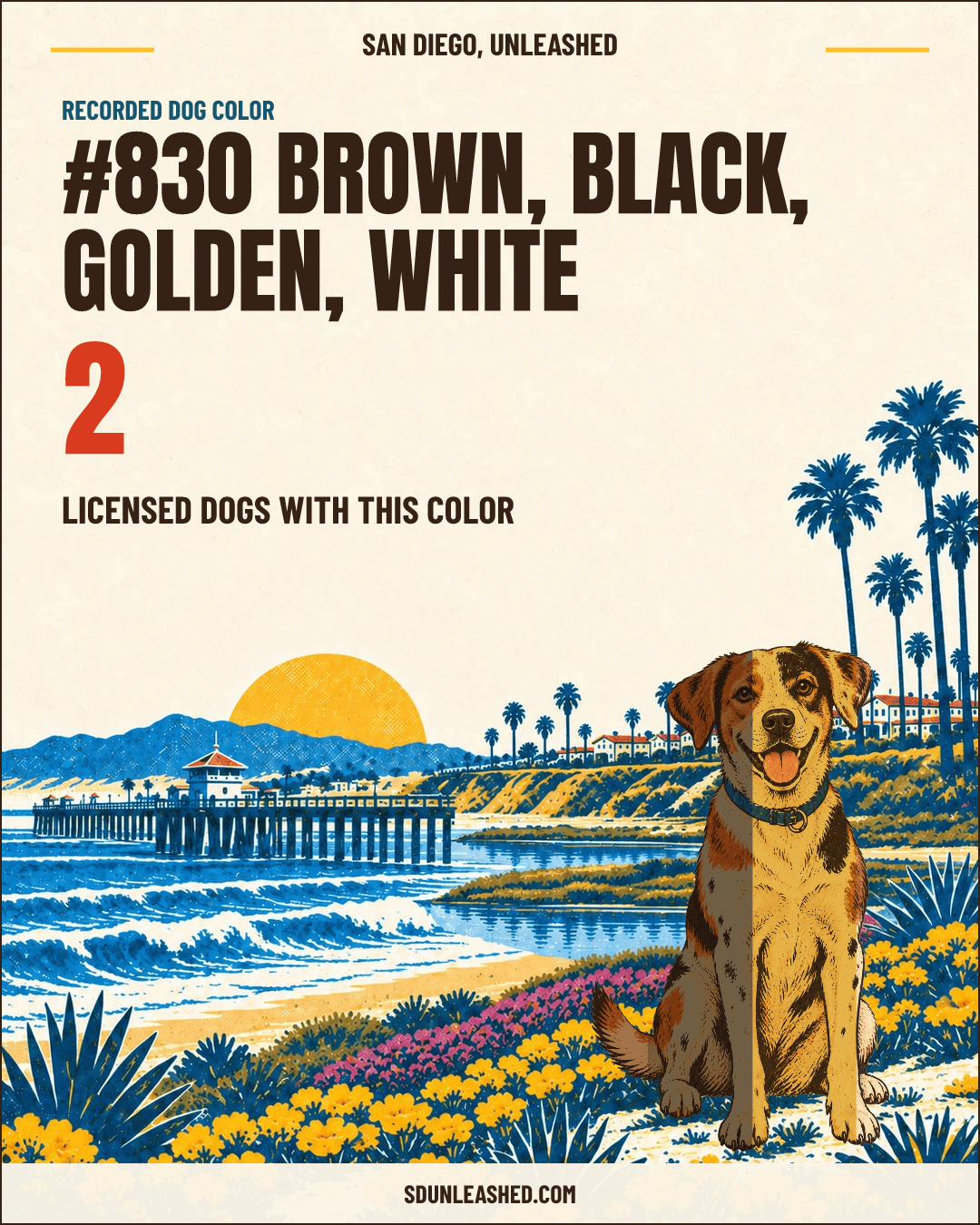 Brown, Black, Golden, White share card