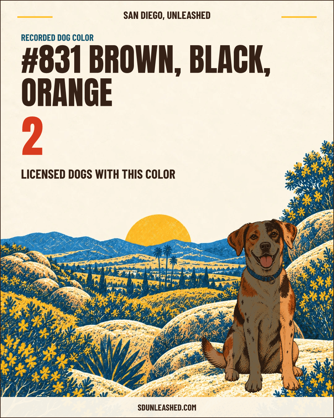Brown, Black, Orange share card