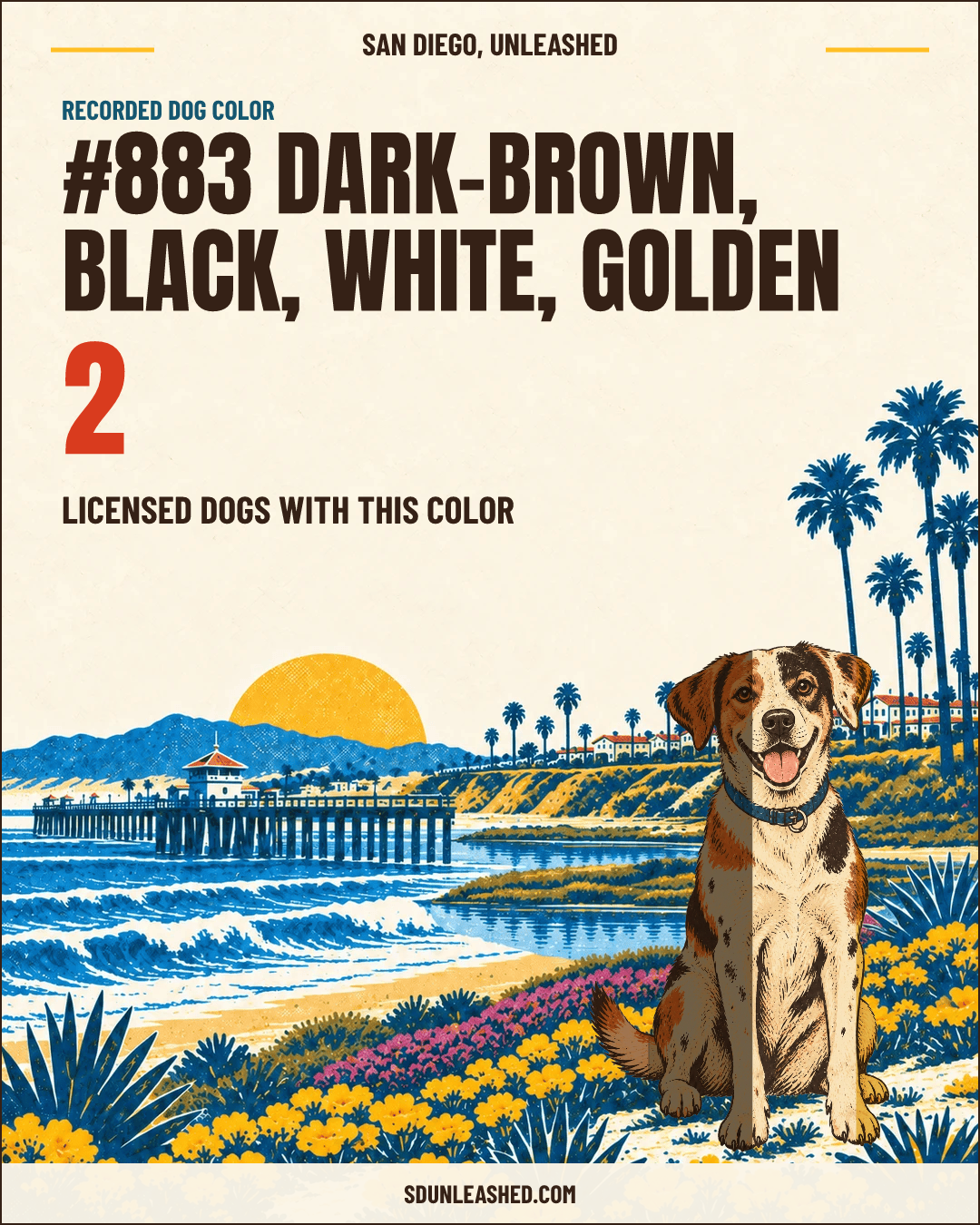 Dark-brown, Black, White, Golden share card