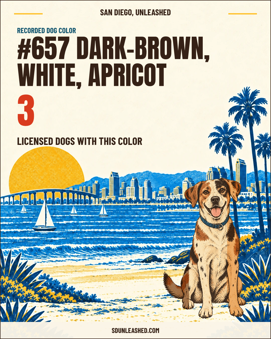 Dark-brown, White, Apricot share card