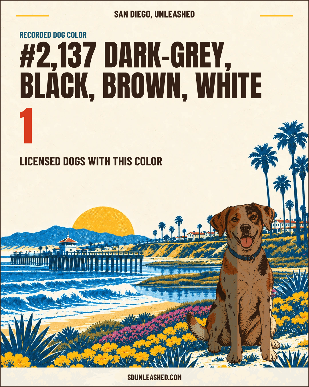 Dark-grey, Black, Brown, White share card