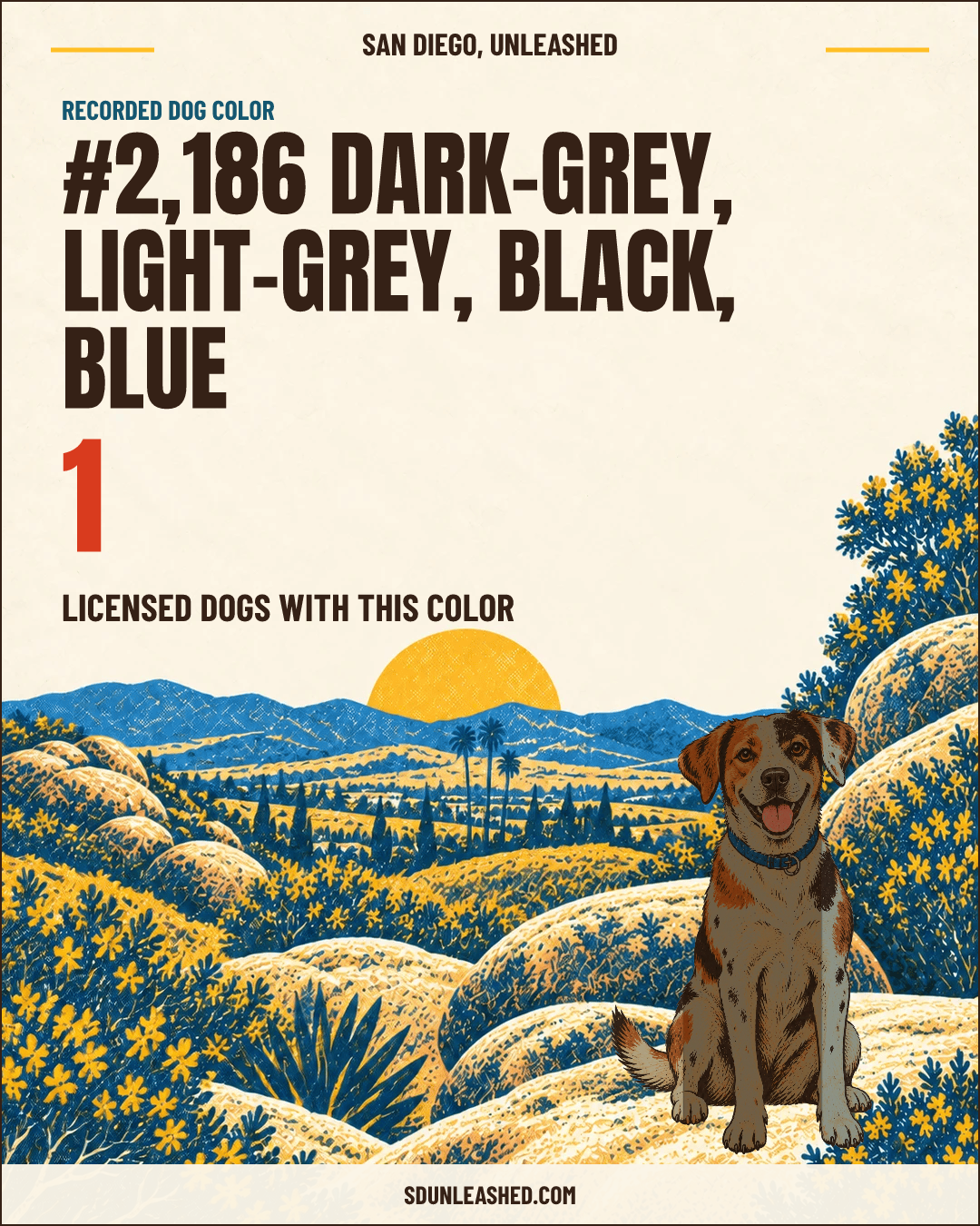 Dark-grey, Light-grey, Black, Blue share card