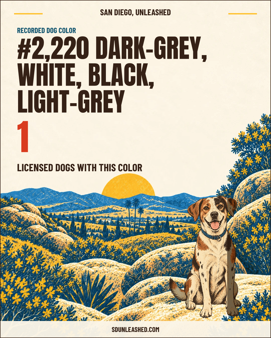 Dark-grey, White, Black, Light-grey share card