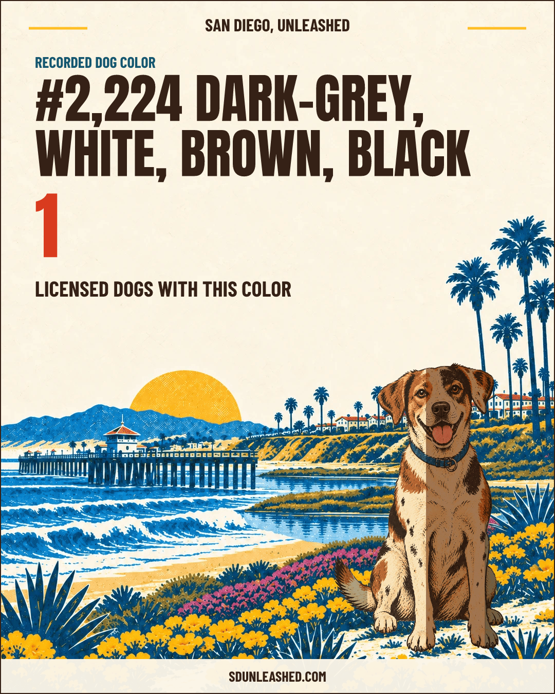Dark-grey, White, Brown, Black share card