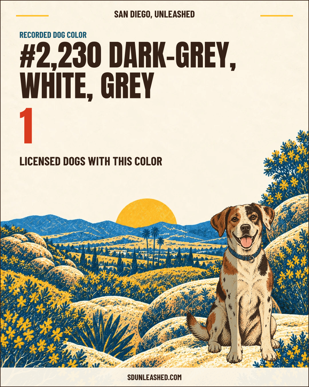 Dark-grey, White, Grey share card