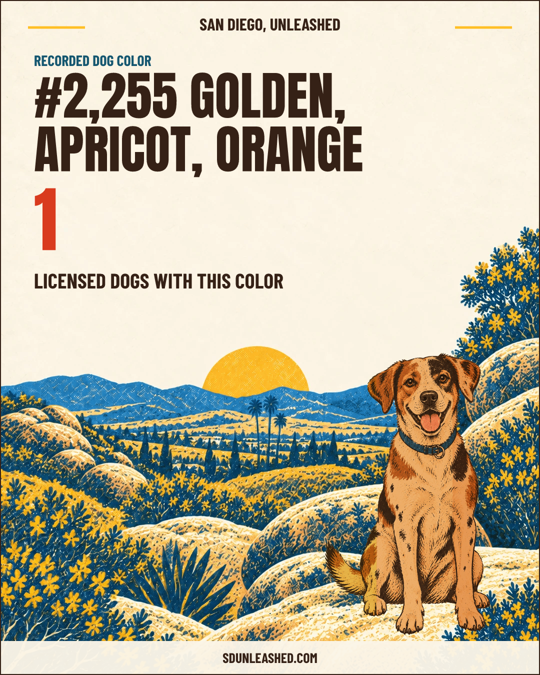 Golden, Apricot, Orange share card