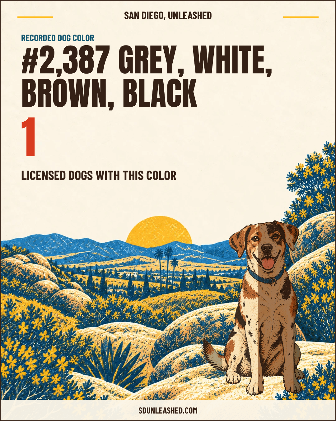 Grey, White, Brown, Black share card
