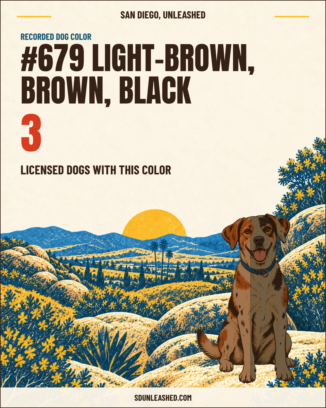 Light-brown, Brown, Black share card