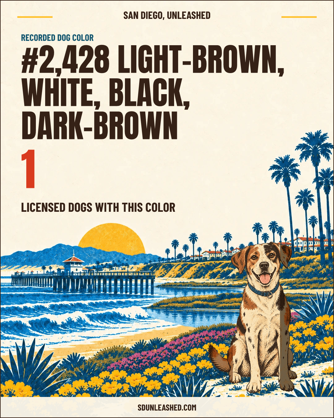 Light-brown, White, Black, Dark-brown share card