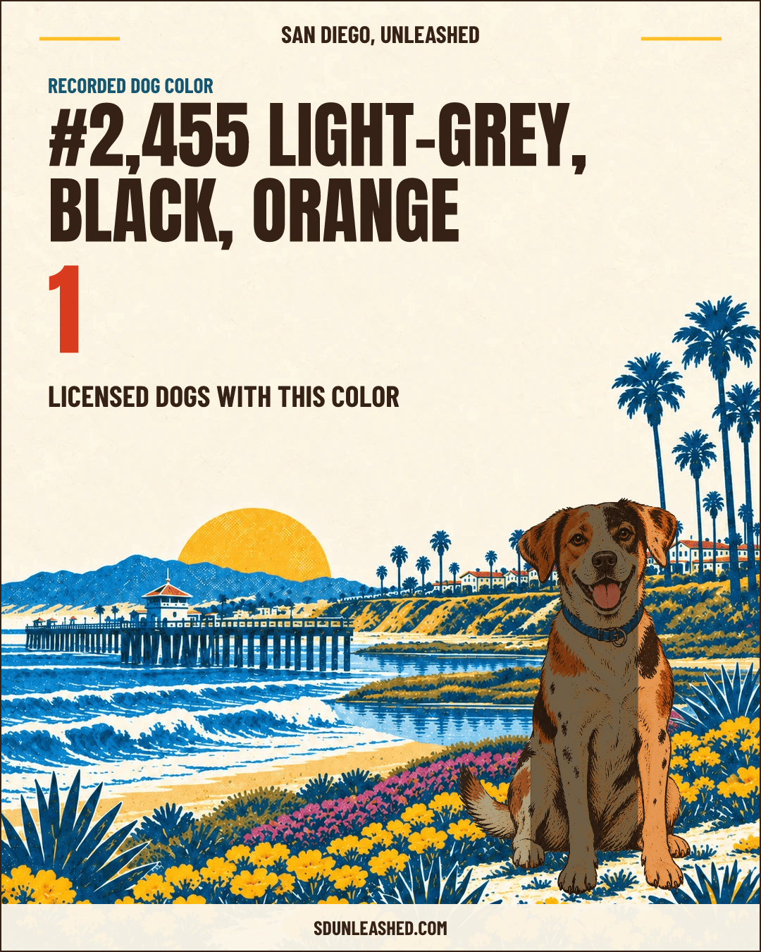 Light-grey, Black, Orange share card