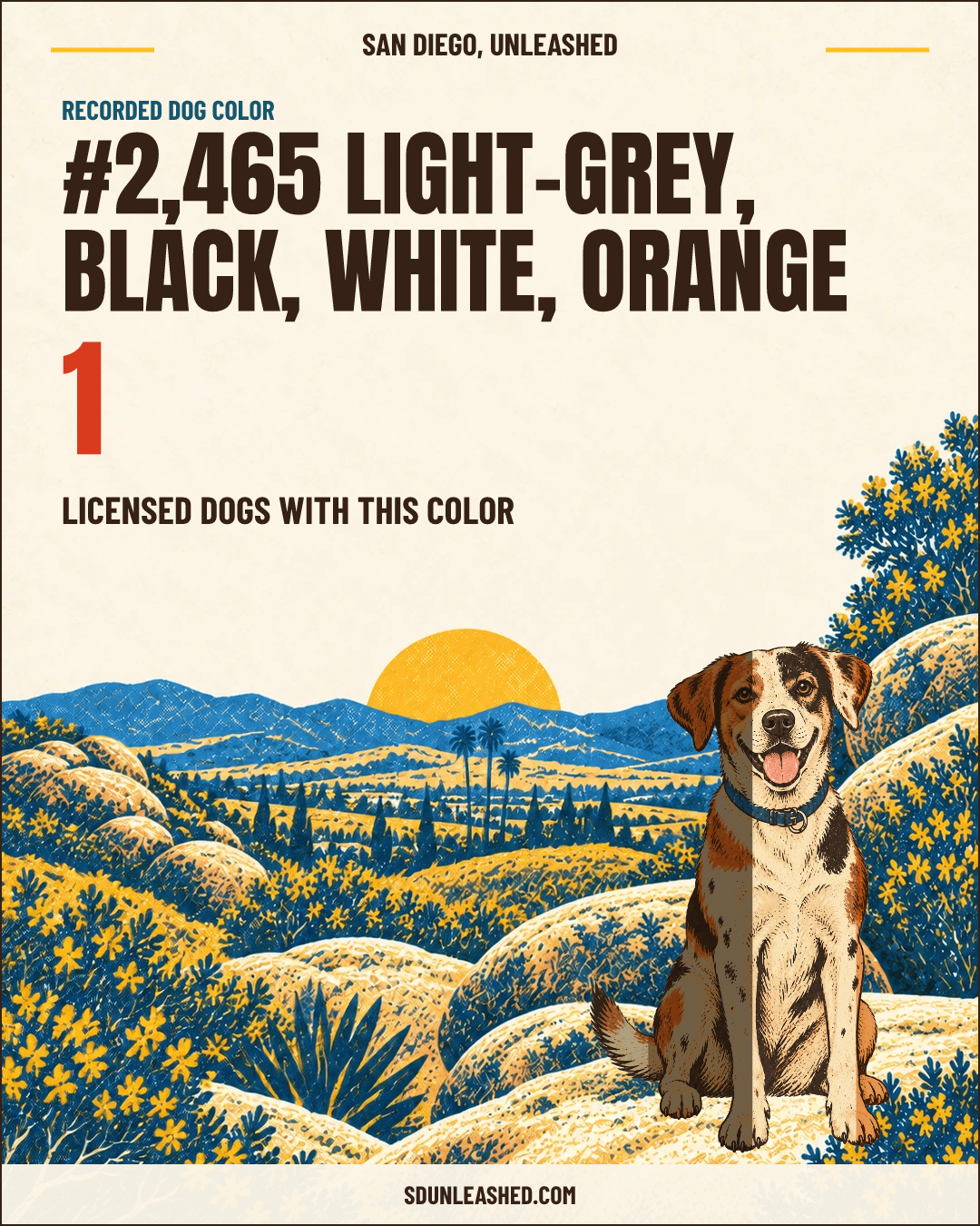 Light-grey, Black, White, Orange share card