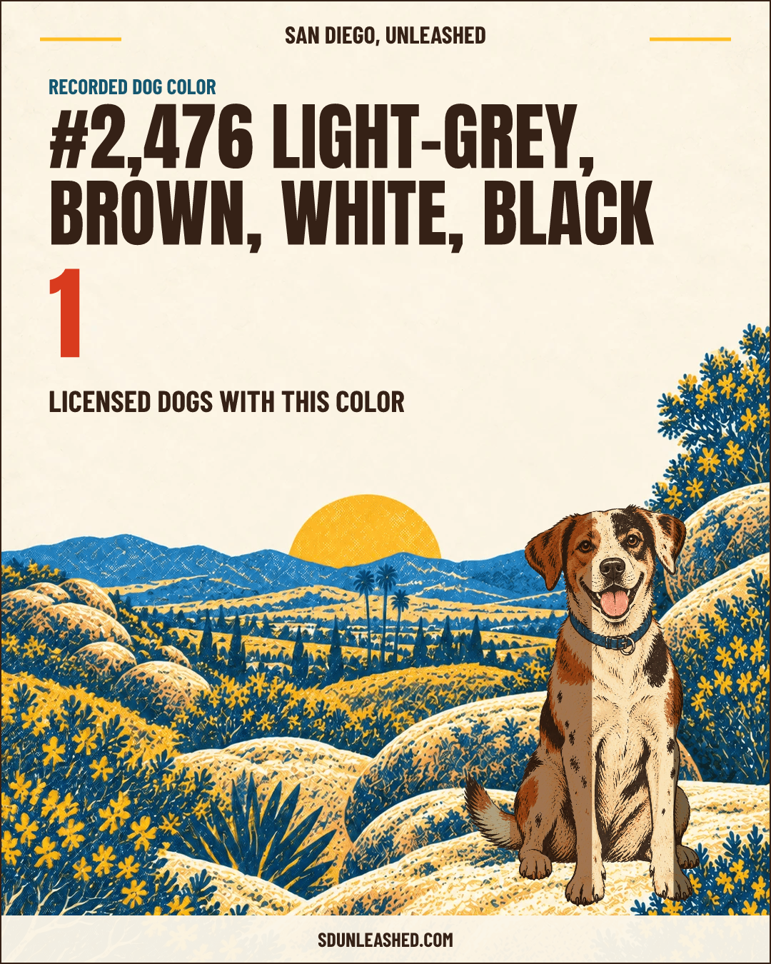 Light-grey, Brown, White, Black share card
